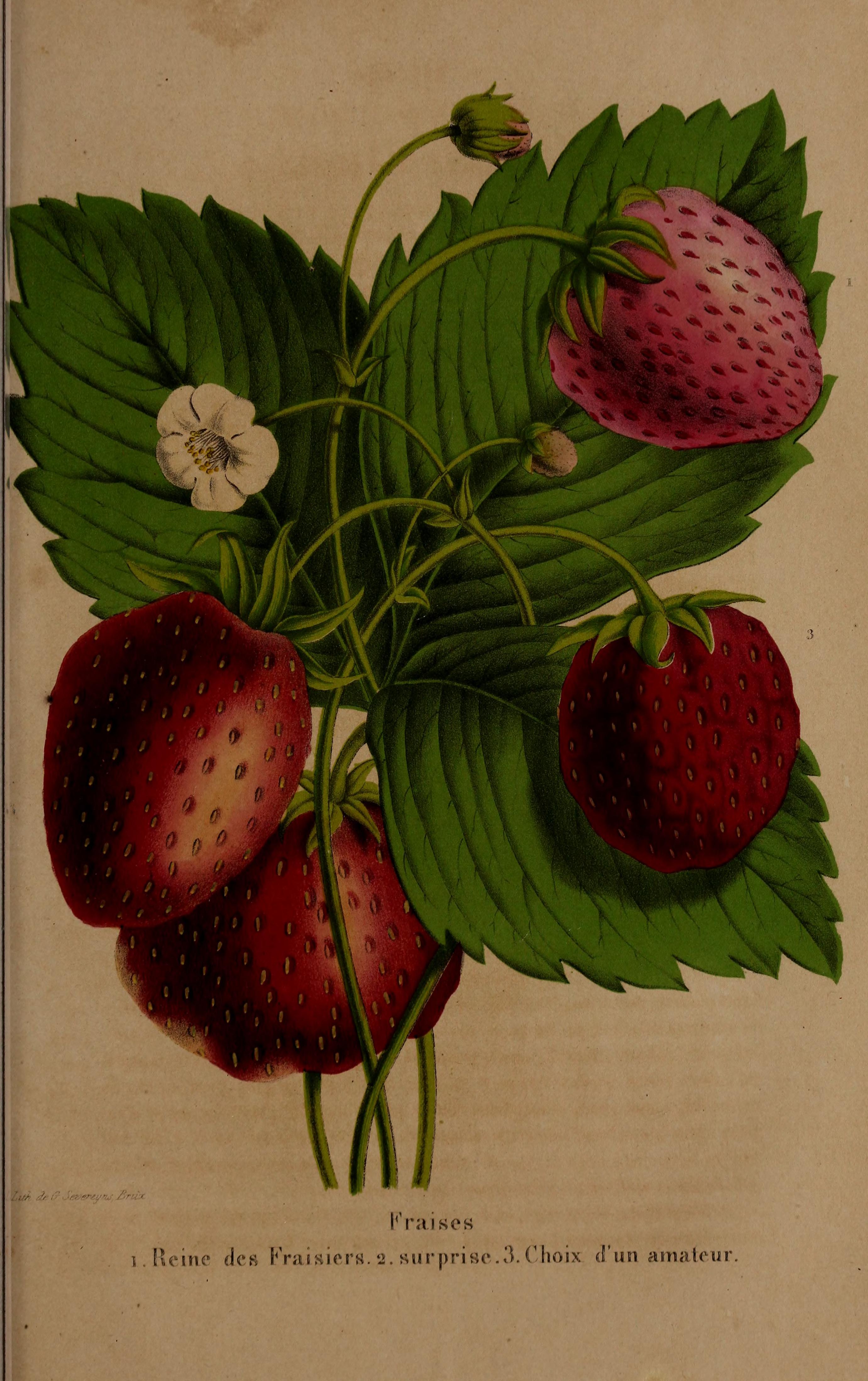 no full size  illustration available (3a)