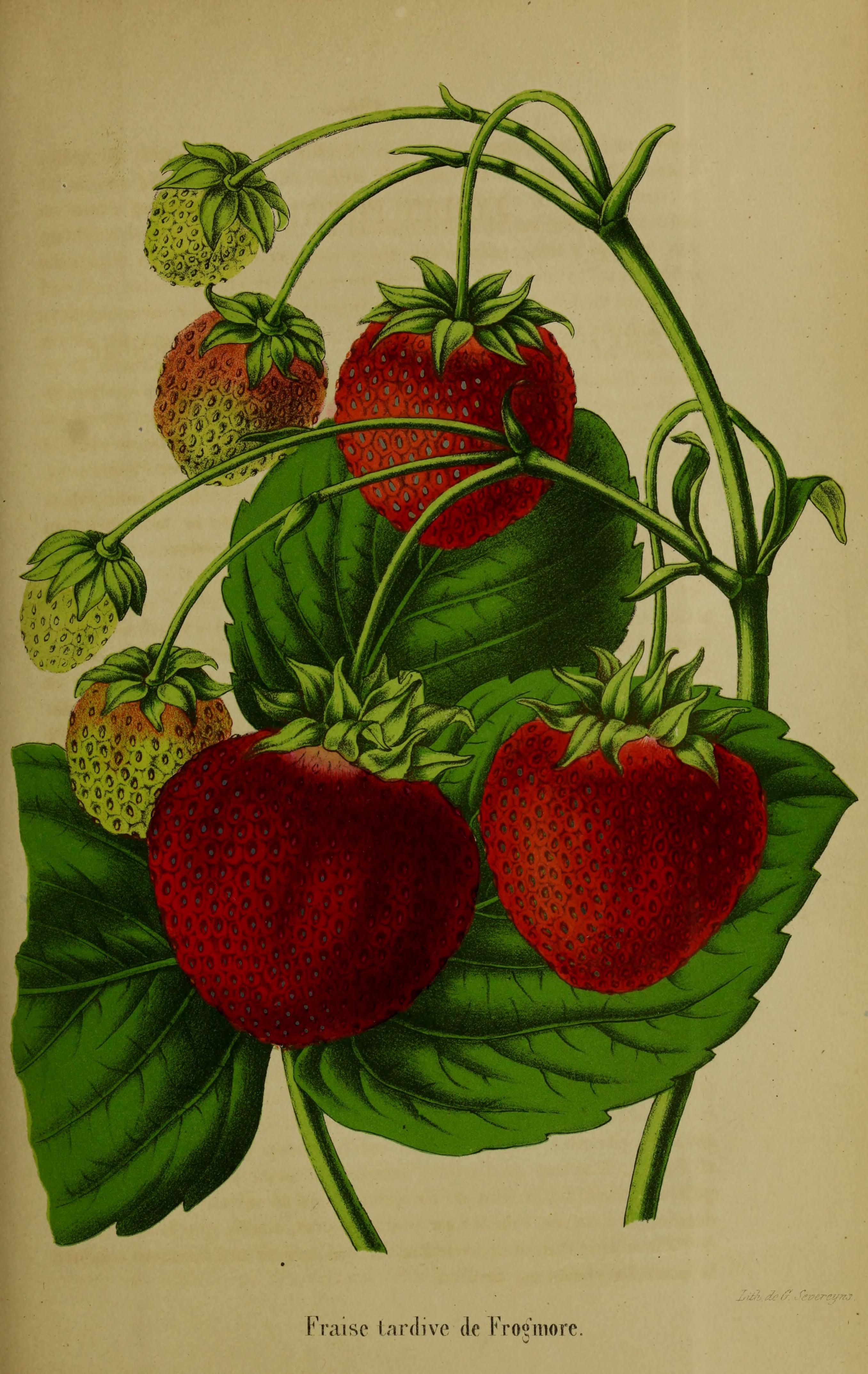 no full size  illustration available (3a)