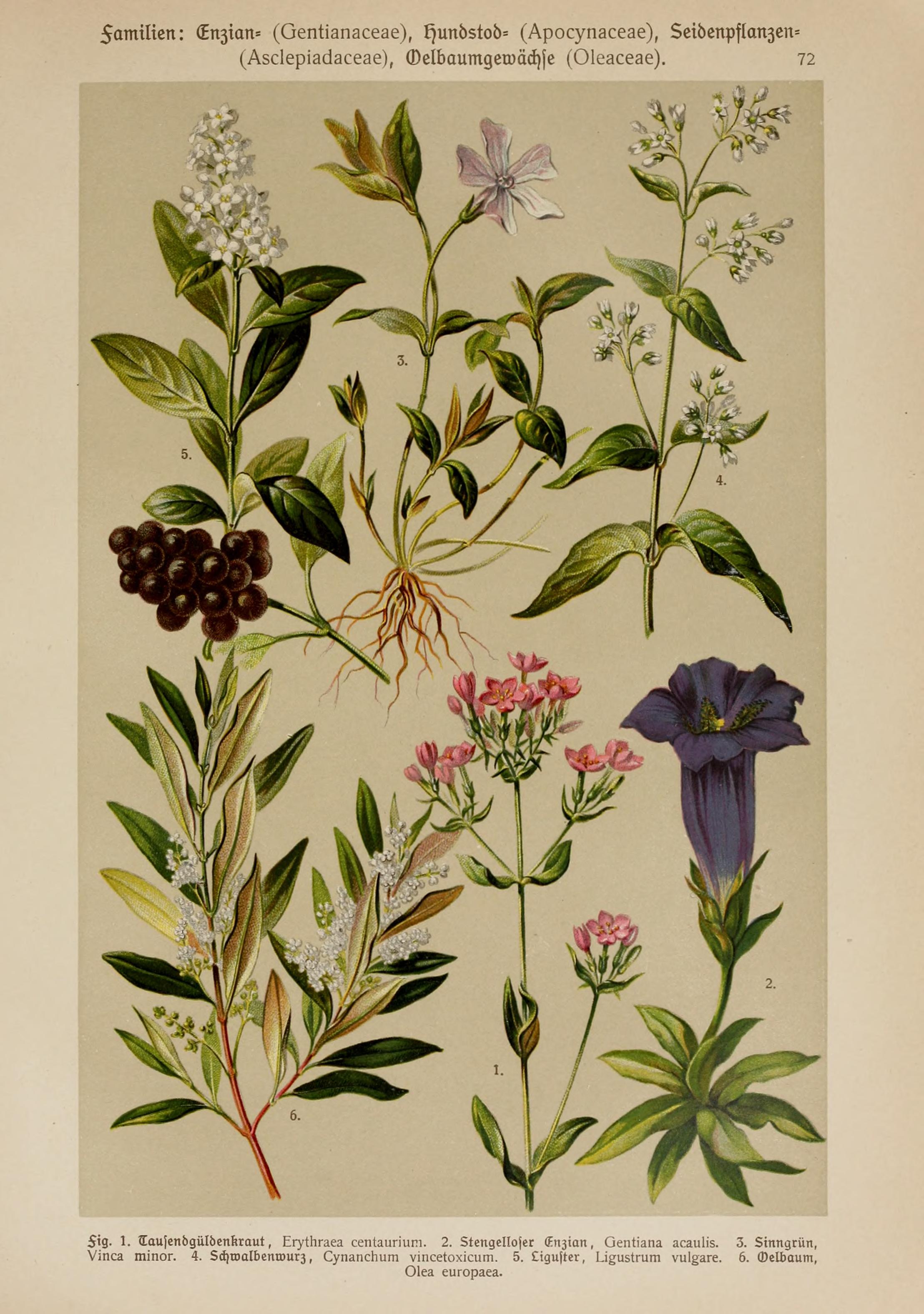 no full size  illustration available (3a)