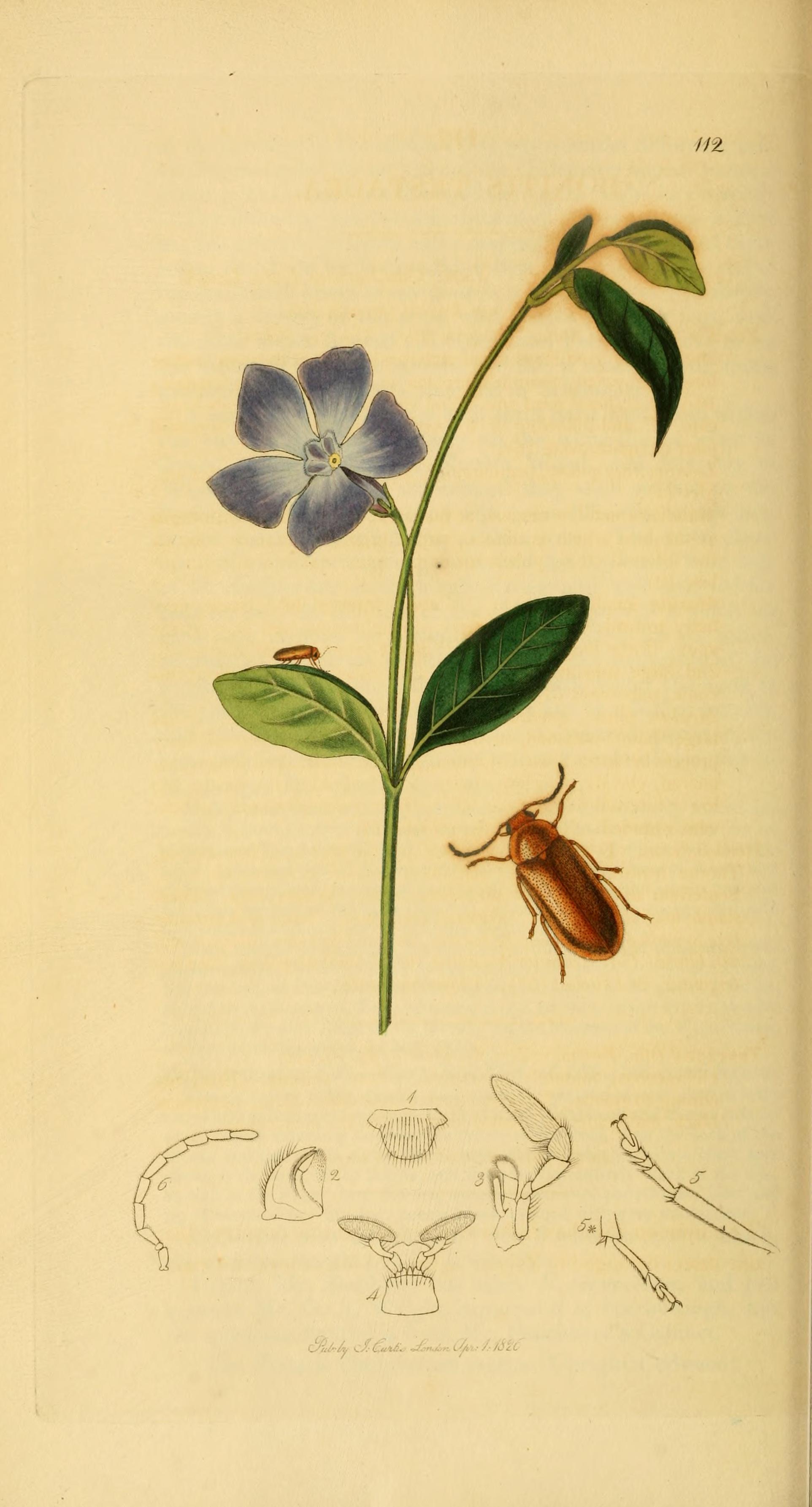 no full size  illustration available (3a)