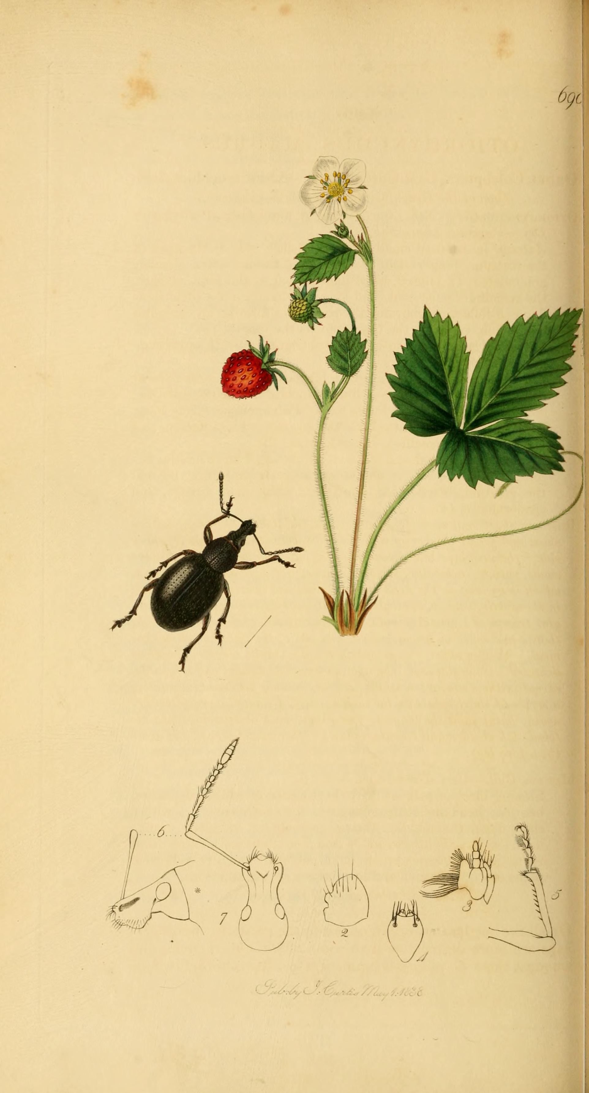 no full size  illustration available (3a)