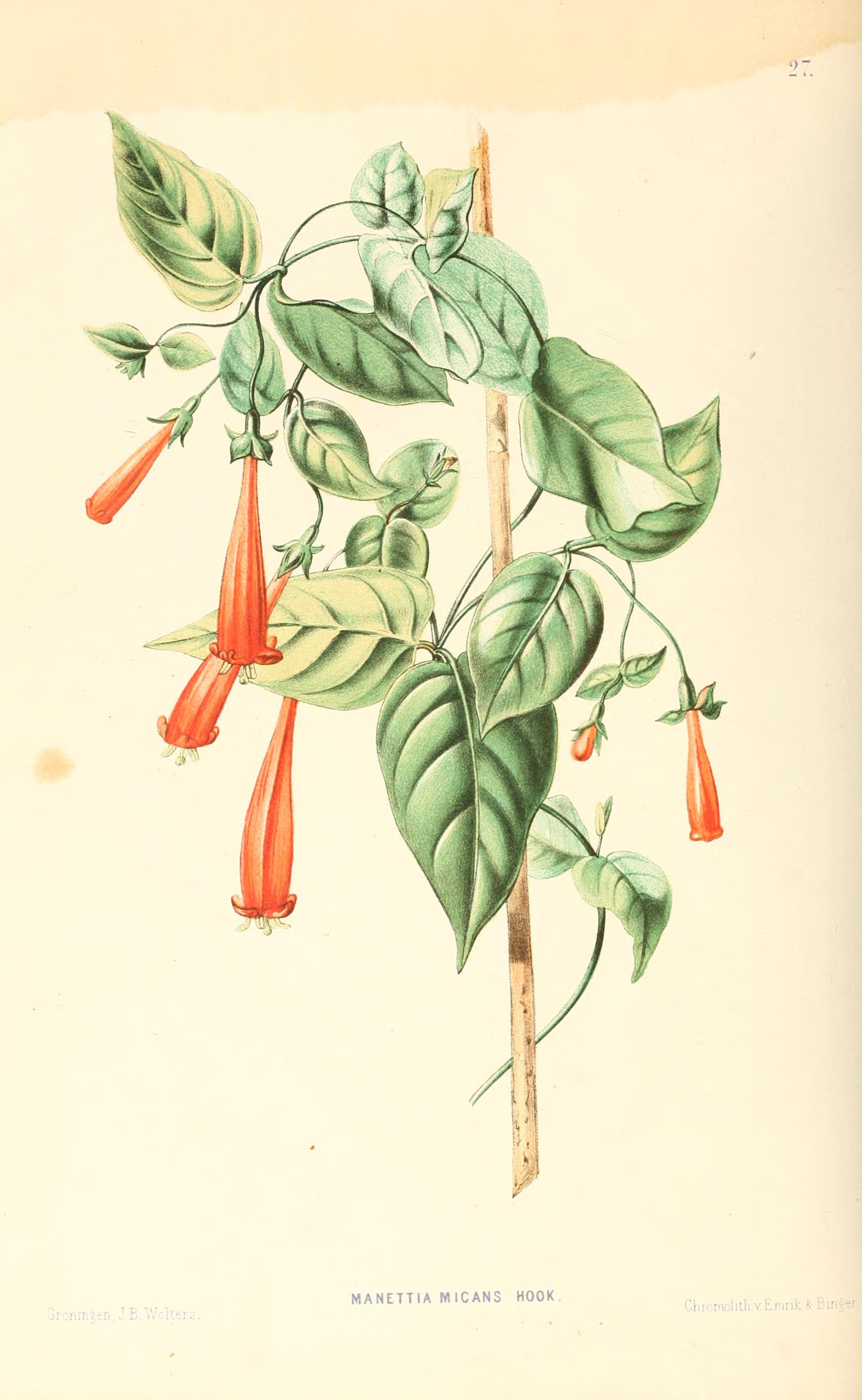 no full size  illustration available (3a)