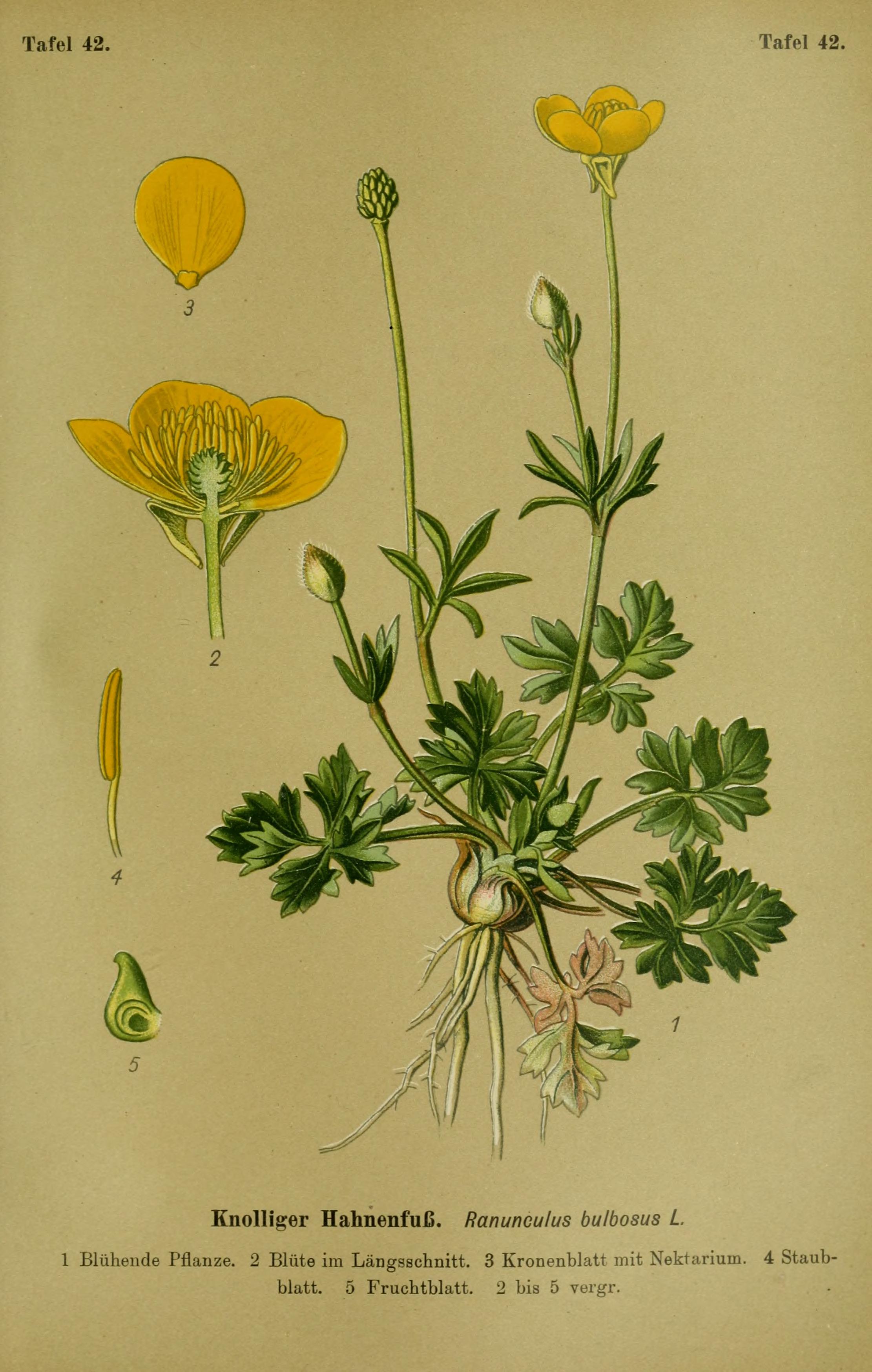 no full size  illustration available (3a)