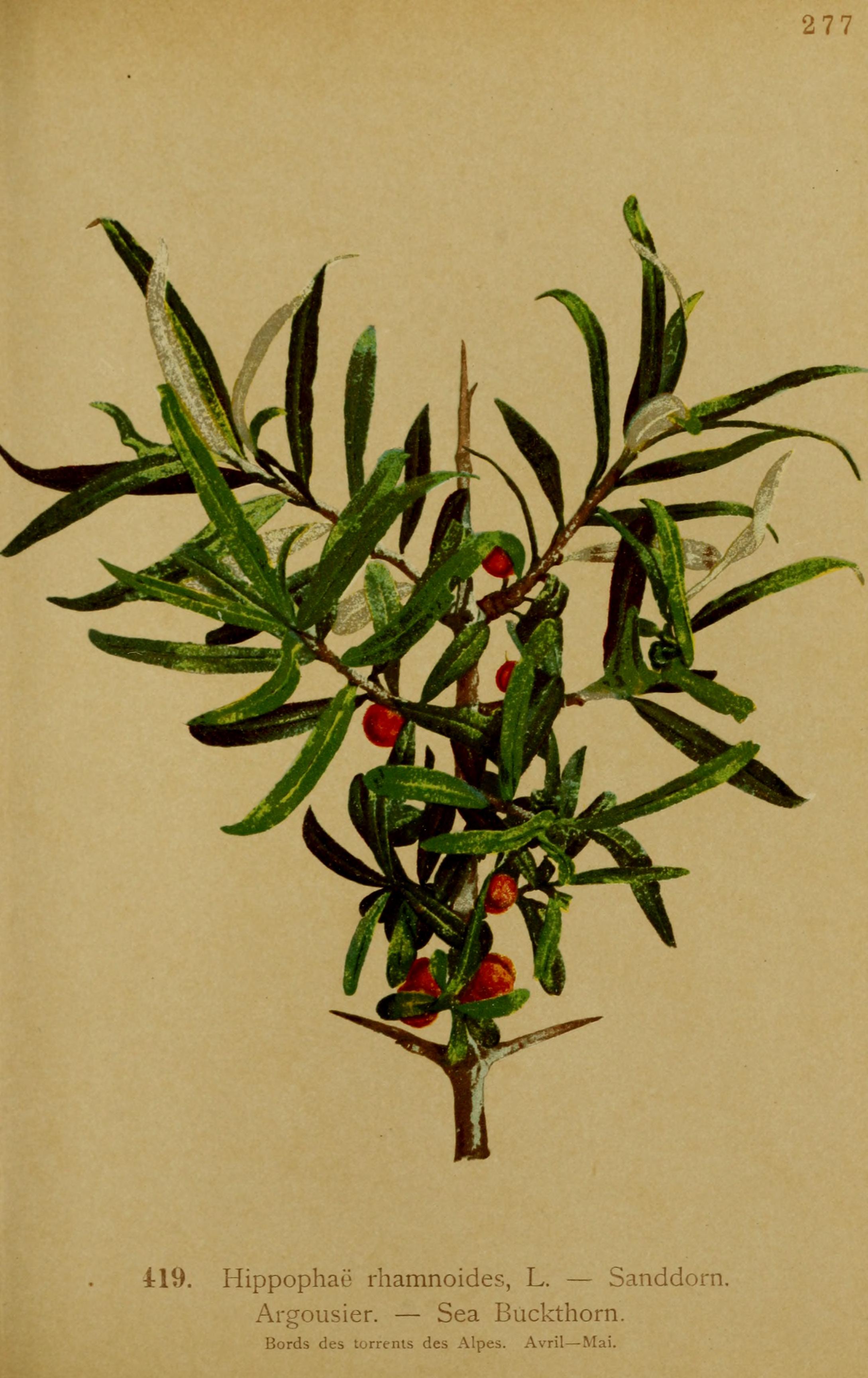 no full size  illustration available (3a)