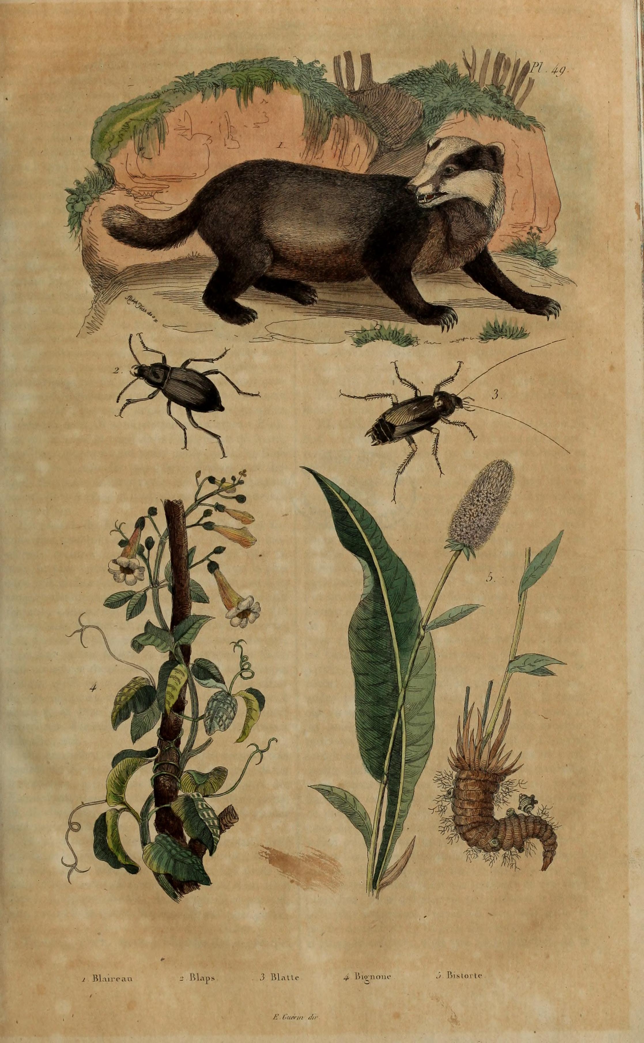 no full size  illustration available (3a)