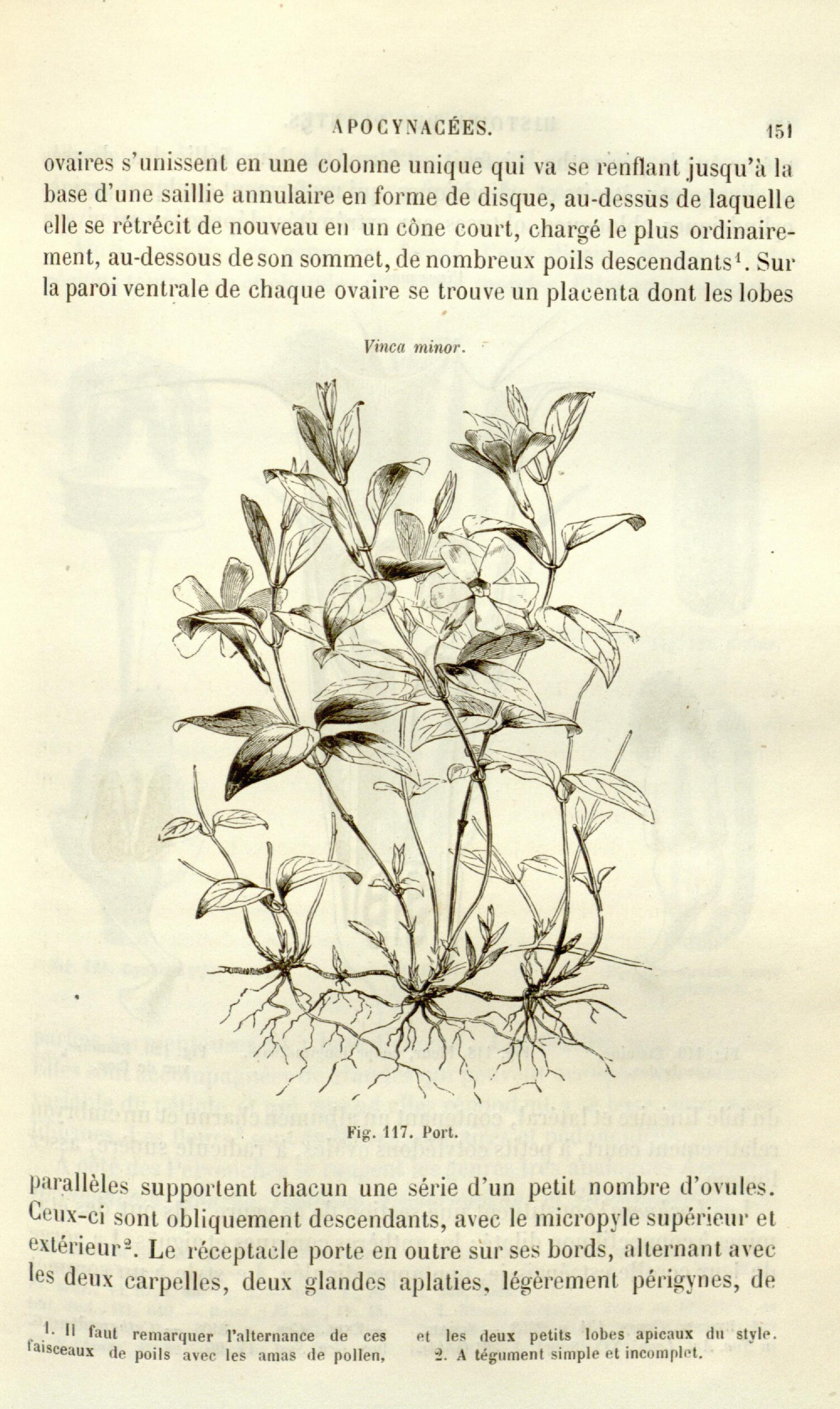 no full size  illustration available (3a)