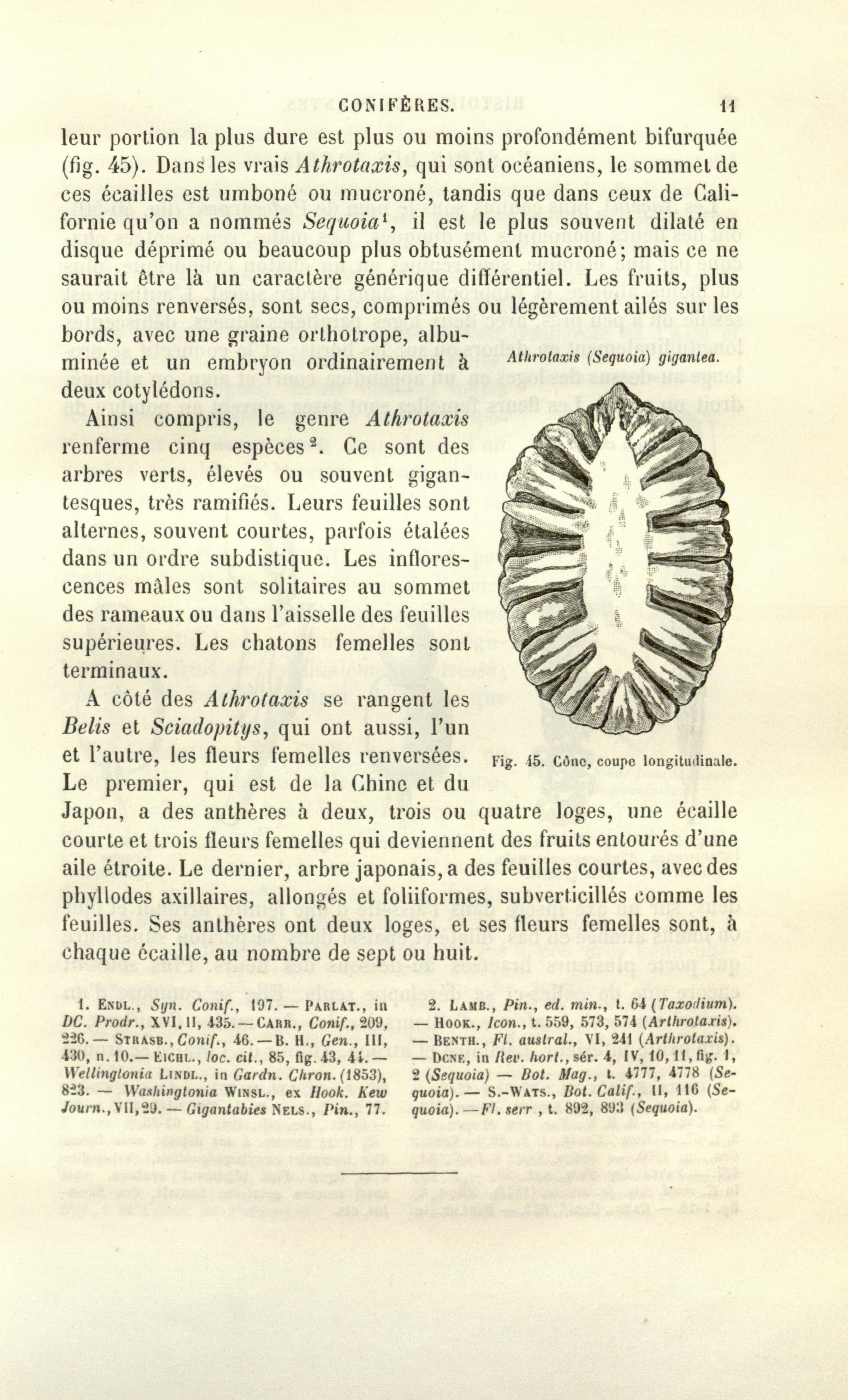 no full size  illustration available (3a)