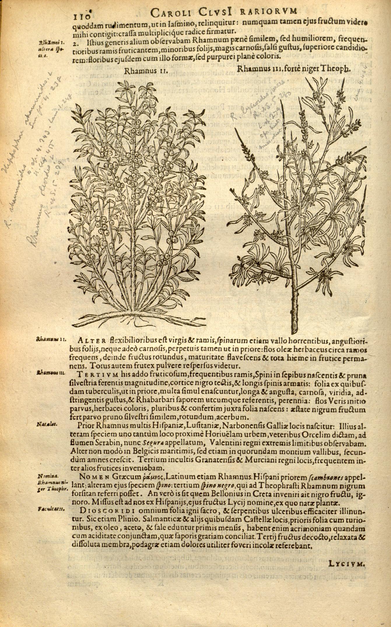 no full size  illustration available (3a)