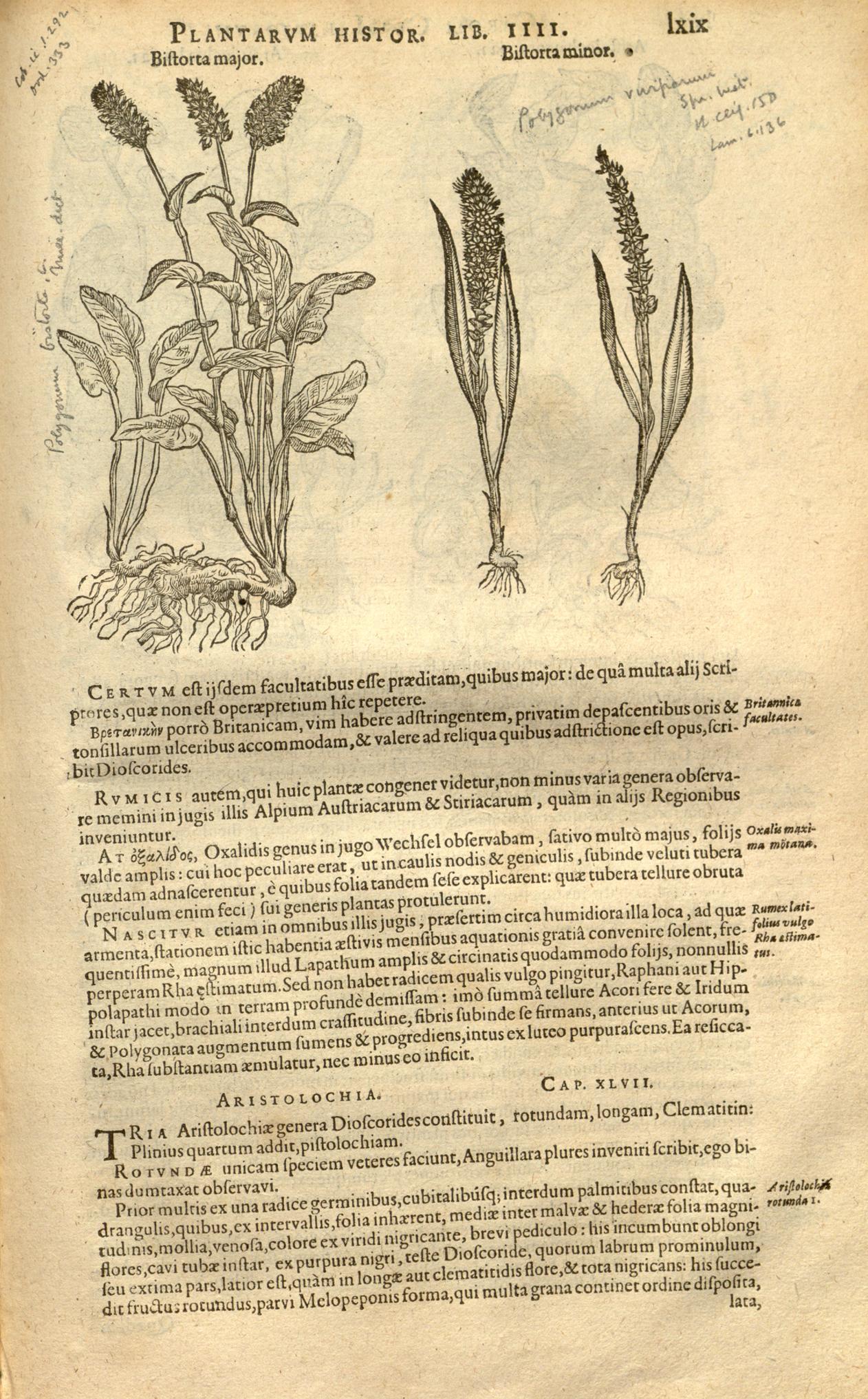 no full size  illustration available (3a)