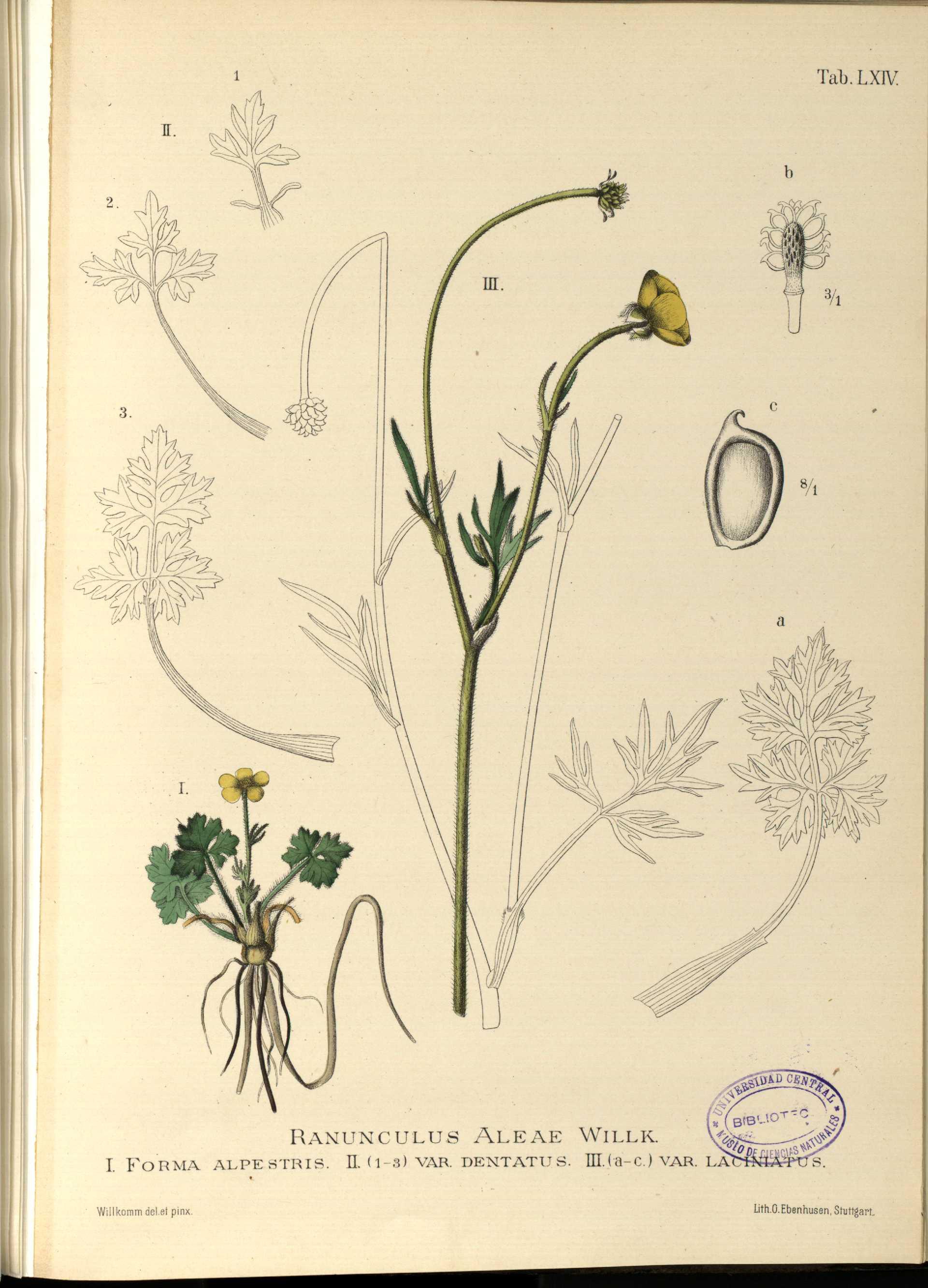 no full size  illustration available (3a)