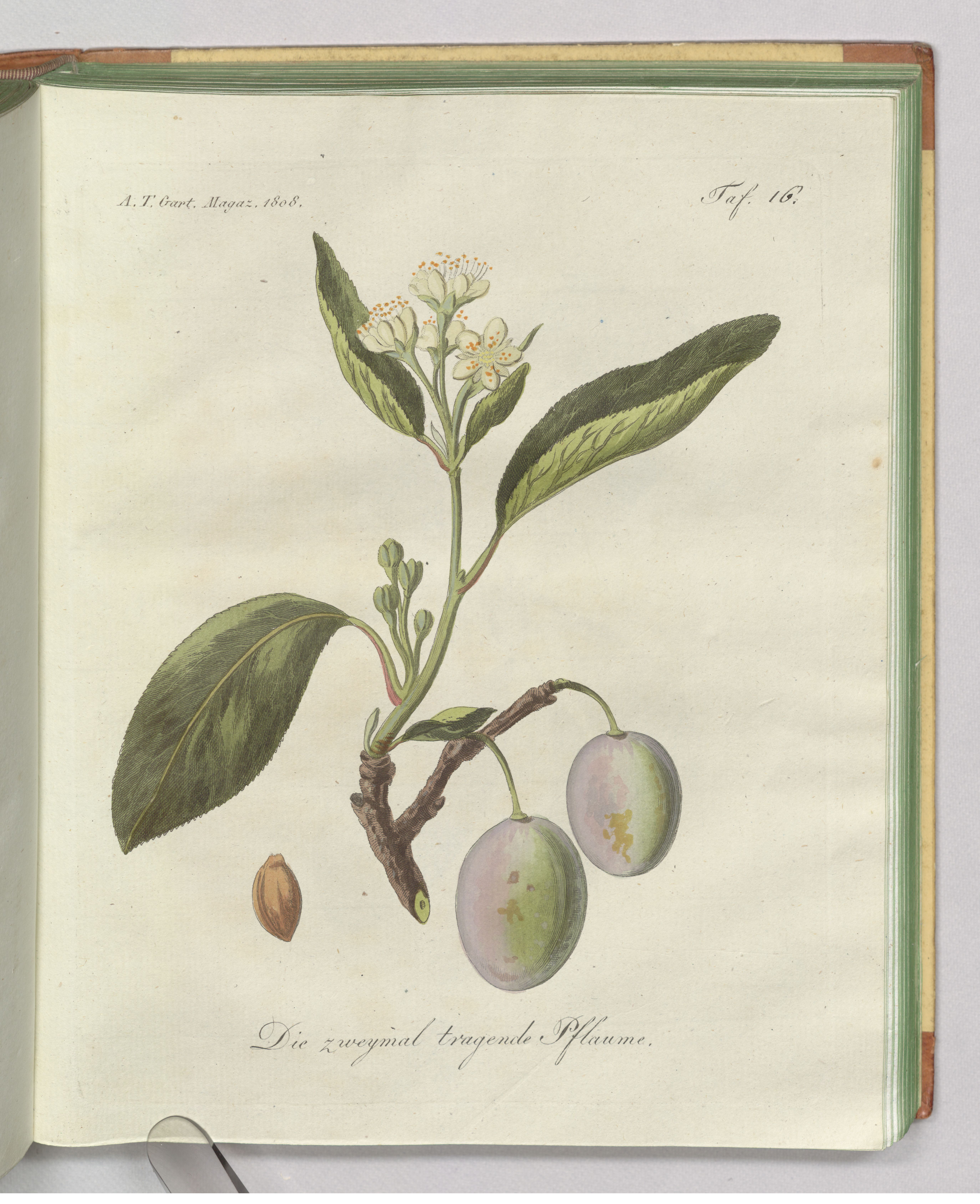 no full size  illustration available (3a)