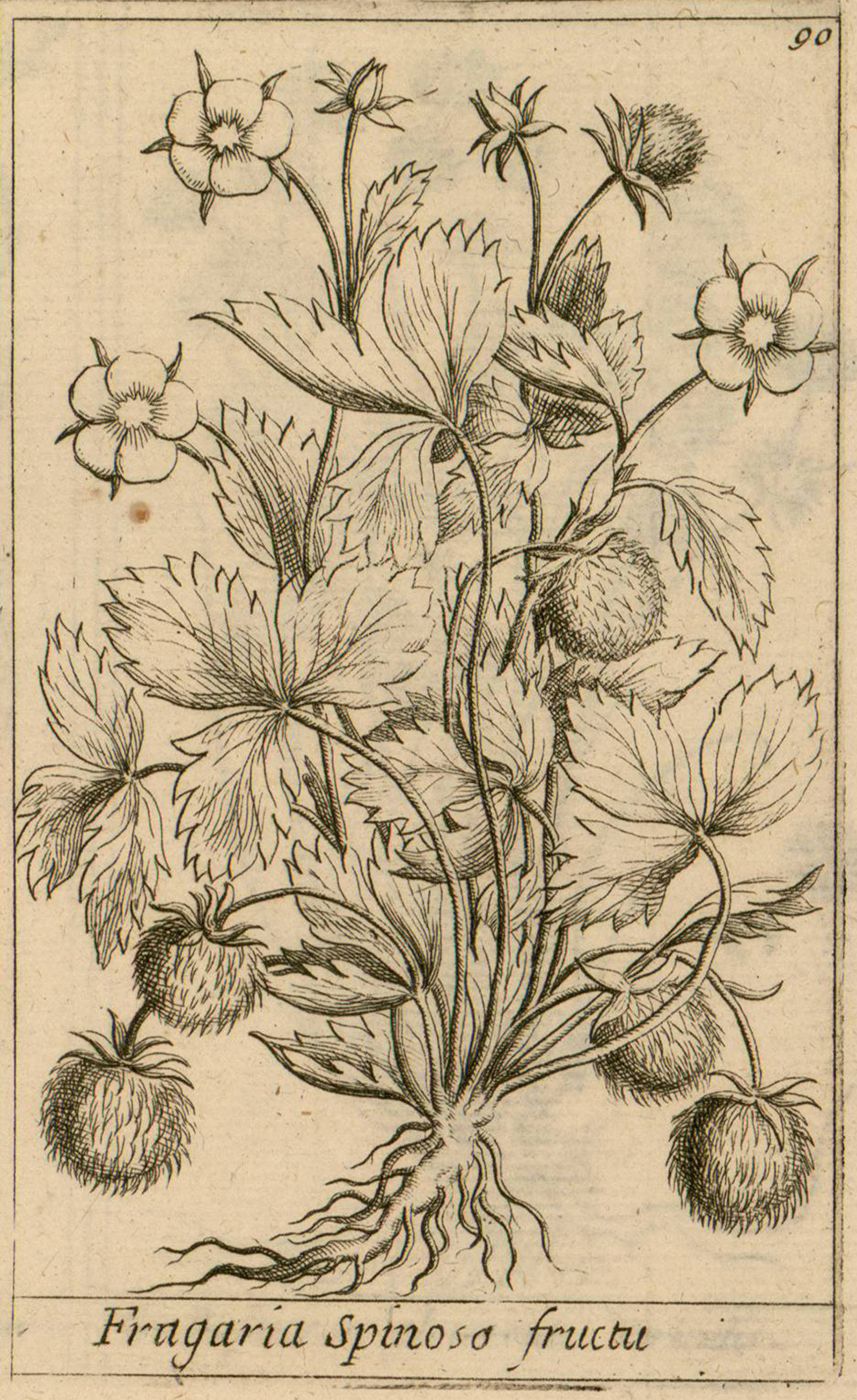 no full size  illustration available (3a)