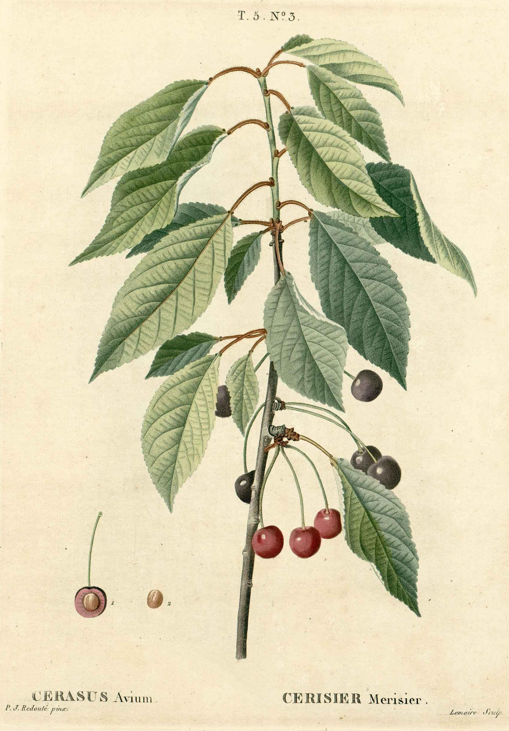 no full size  illustration available (3a)