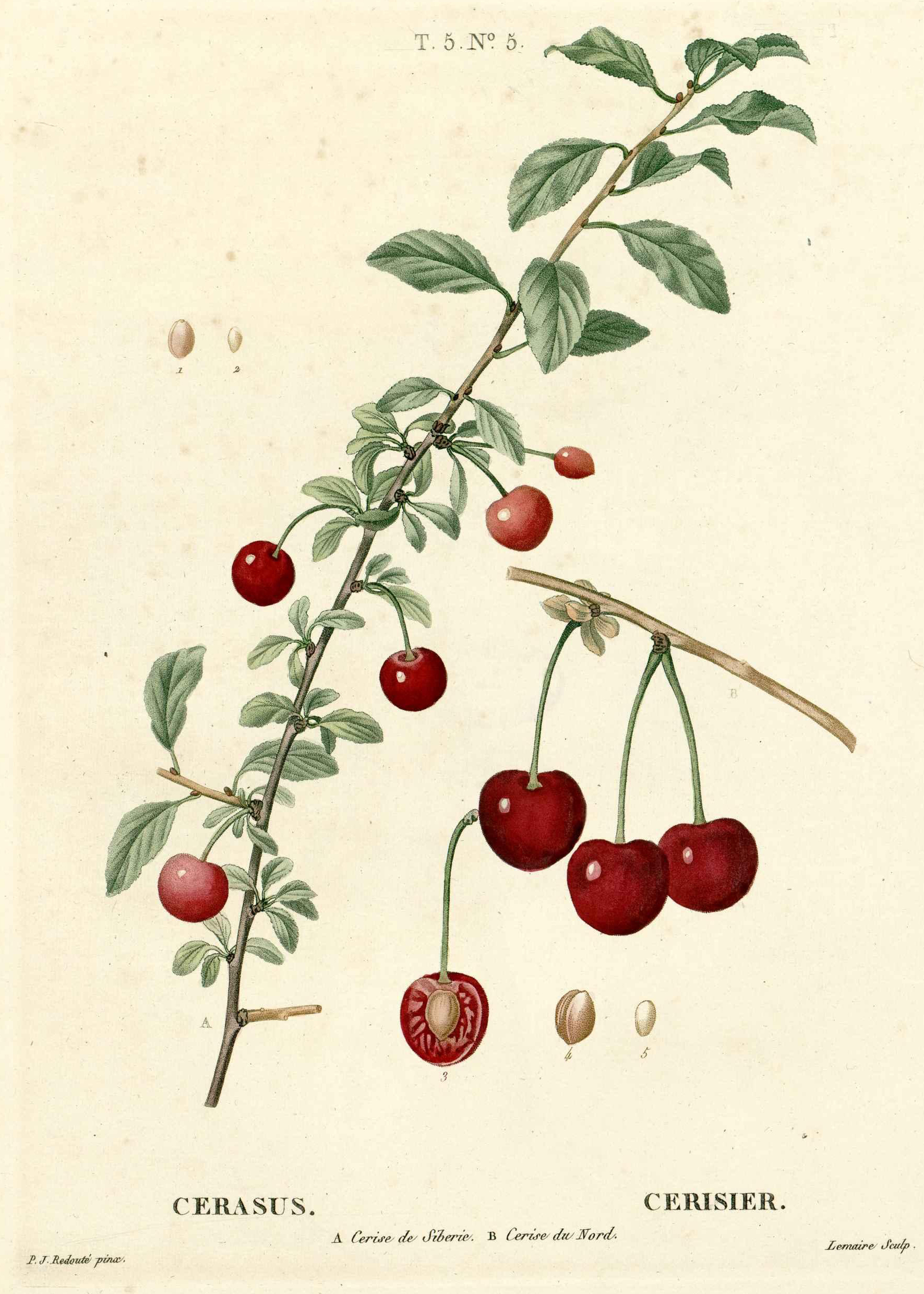 no full size  illustration available (3a)