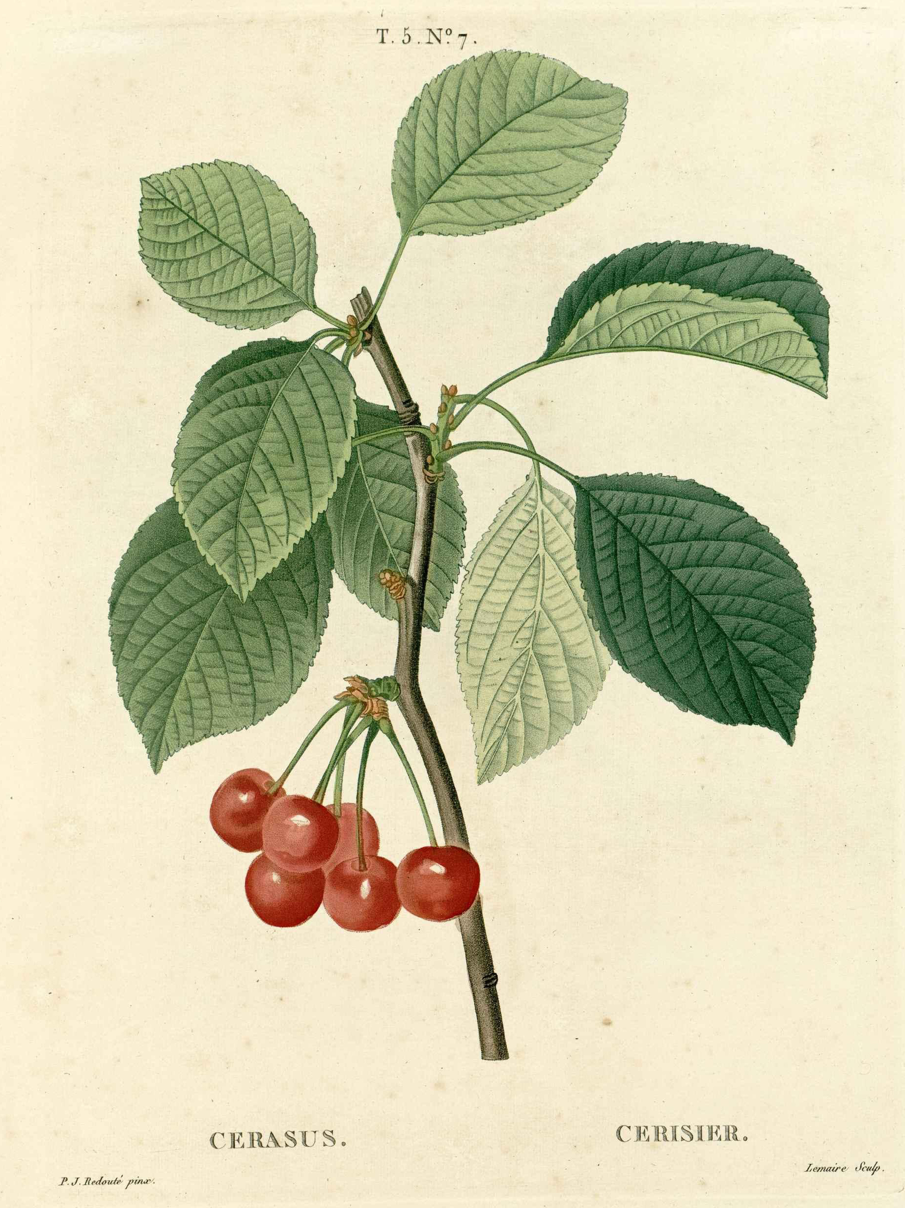 no full size  illustration available (3a)