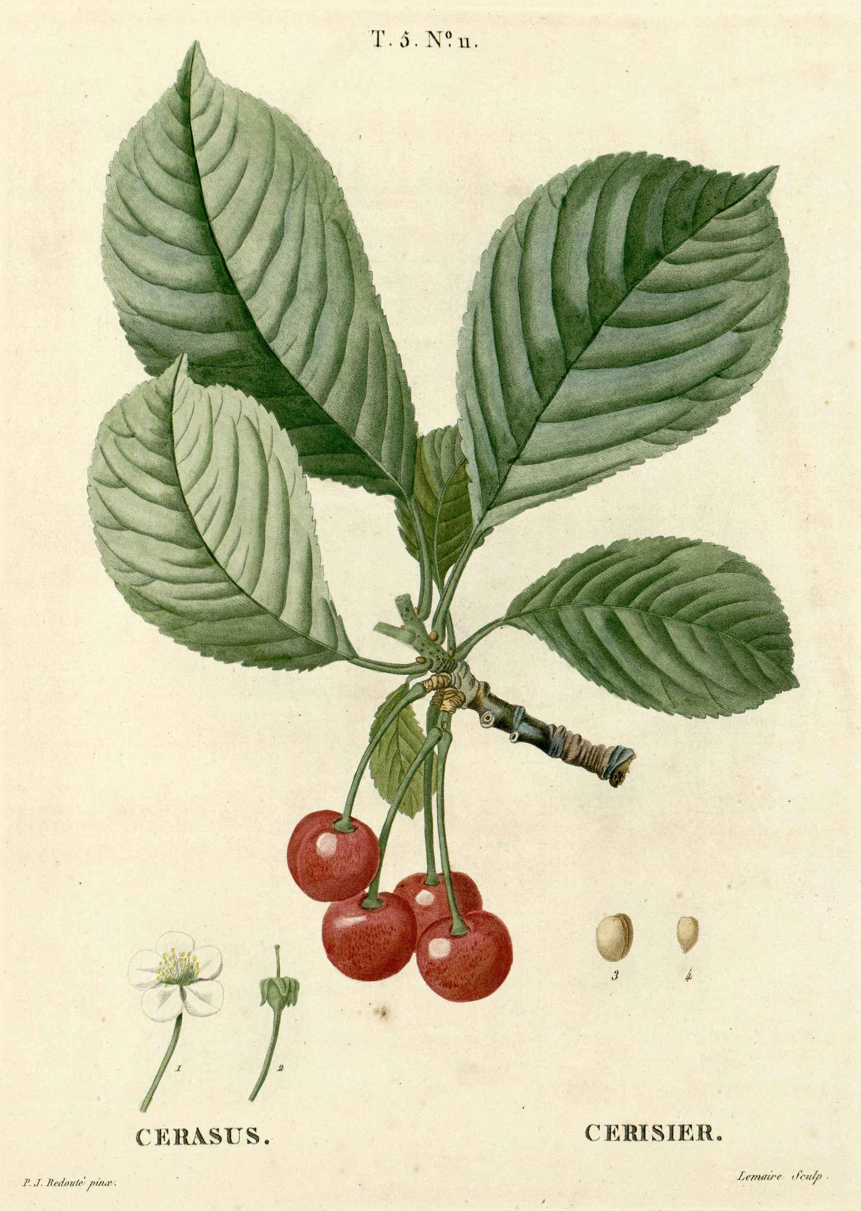 no full size  illustration available (3a)