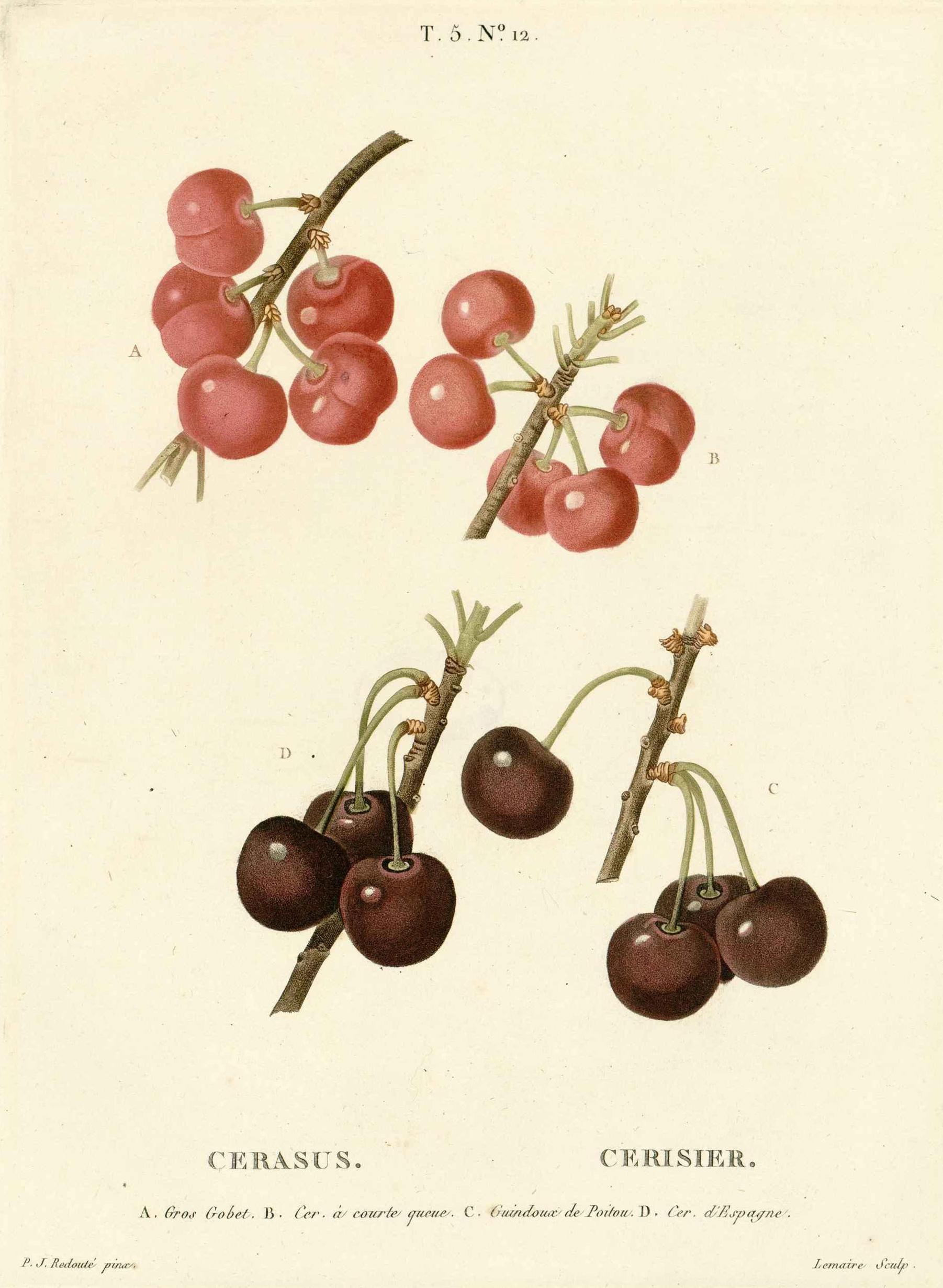 no full size  illustration available (3a)