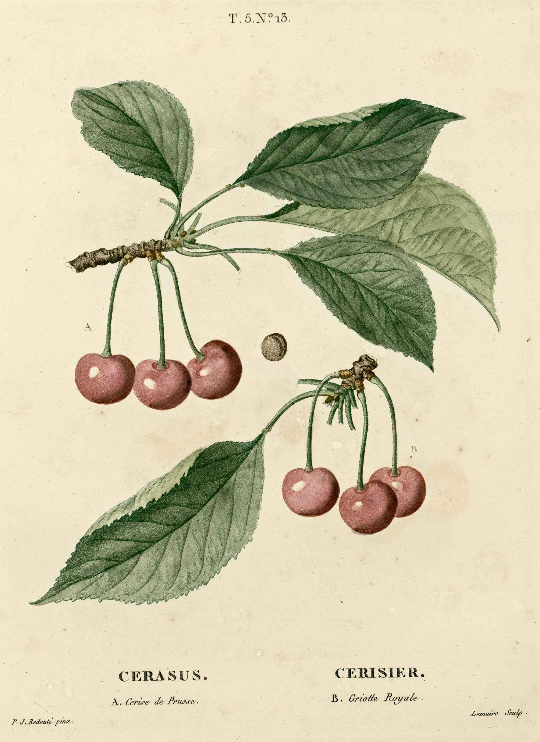 no full size  illustration available (3a)