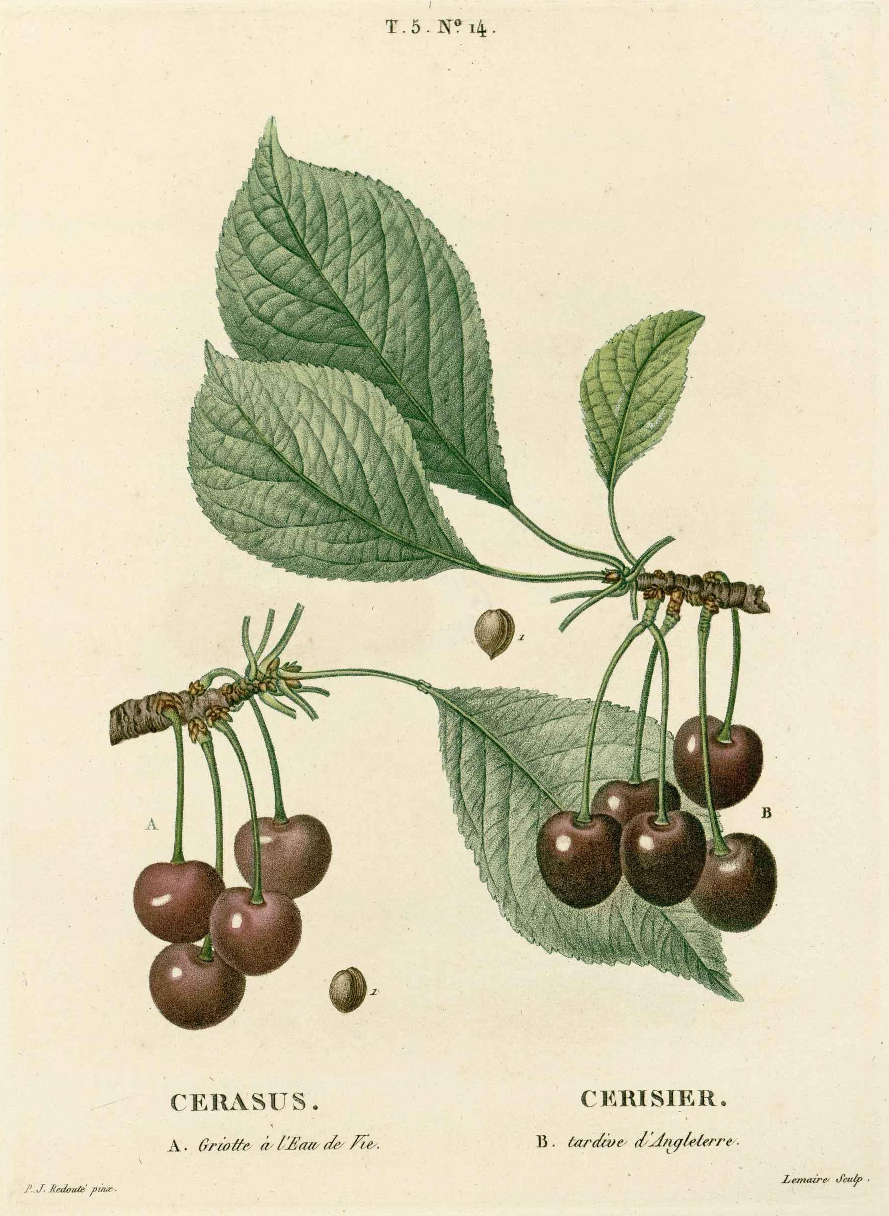 no full size  illustration available (3a)