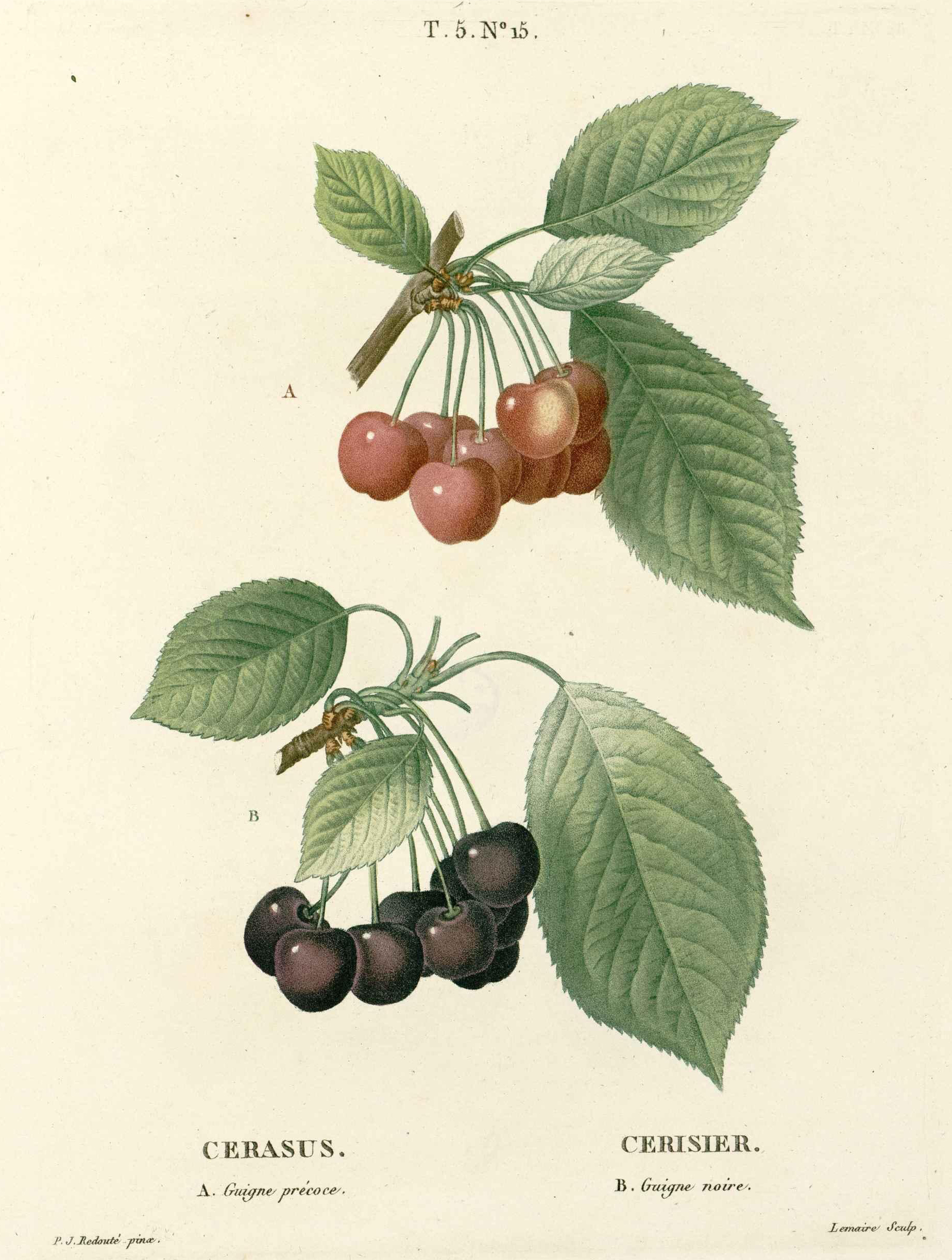 no full size  illustration available (3a)