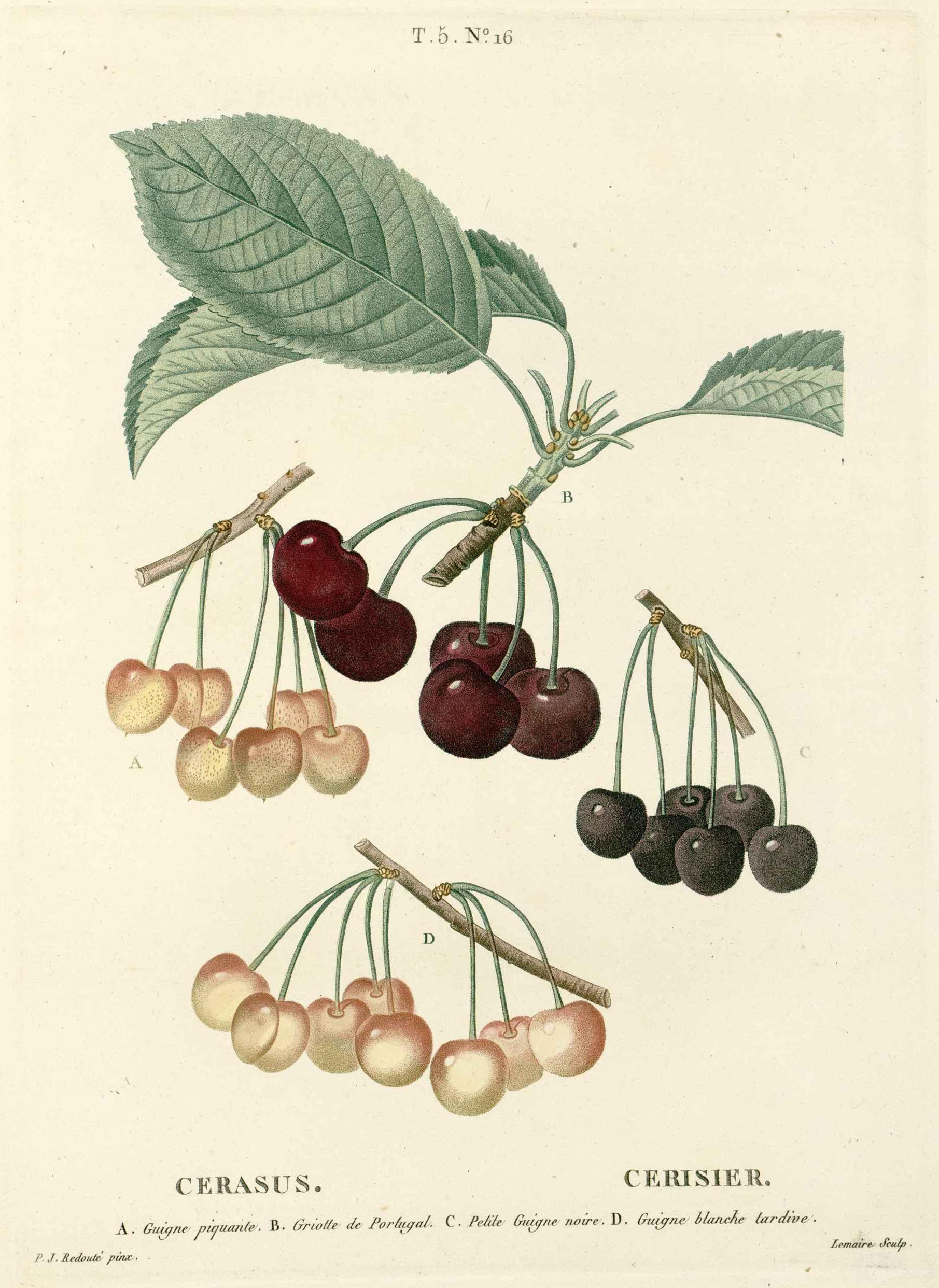 no full size  illustration available (3a)