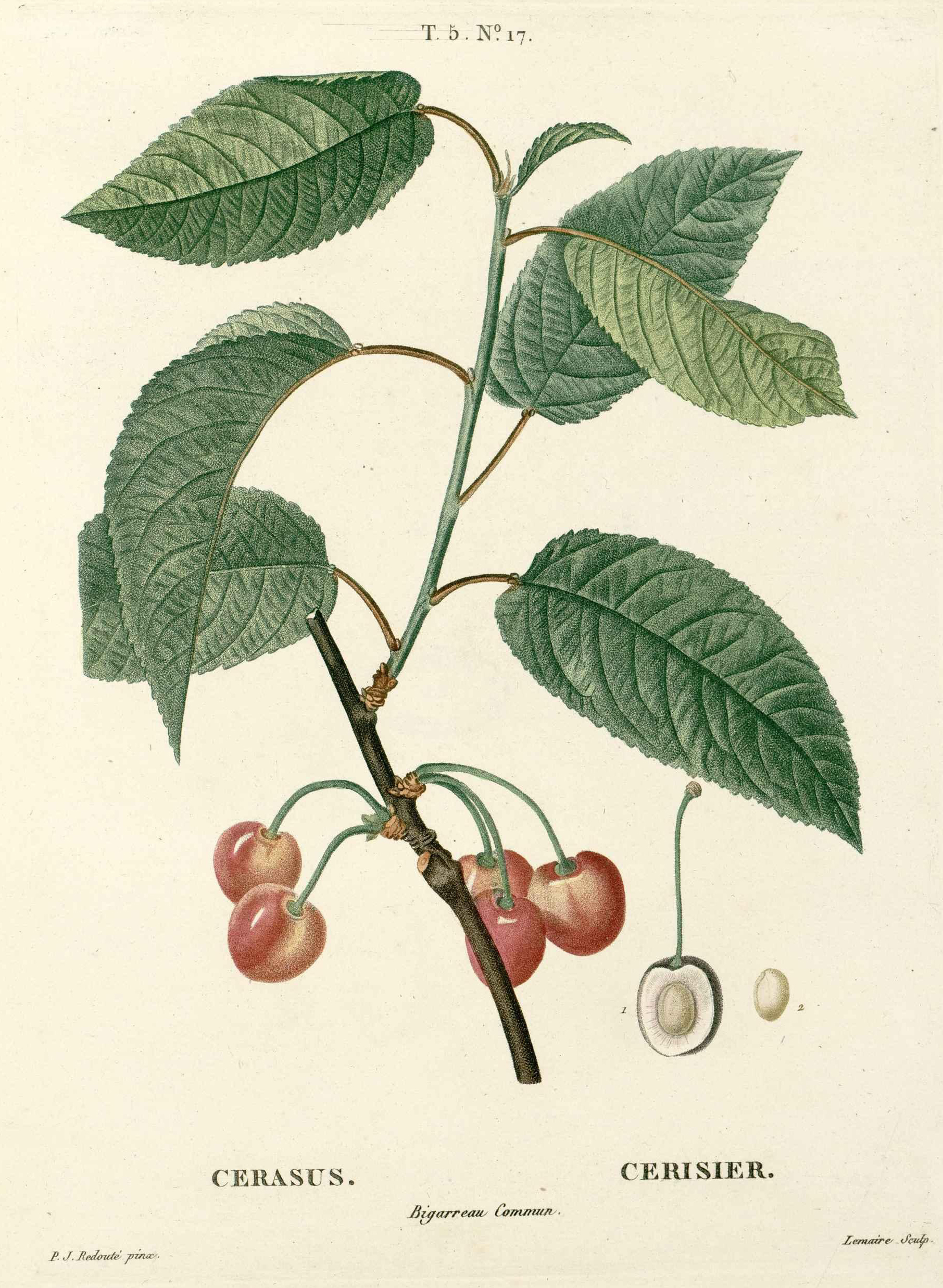 no full size  illustration available (3a)