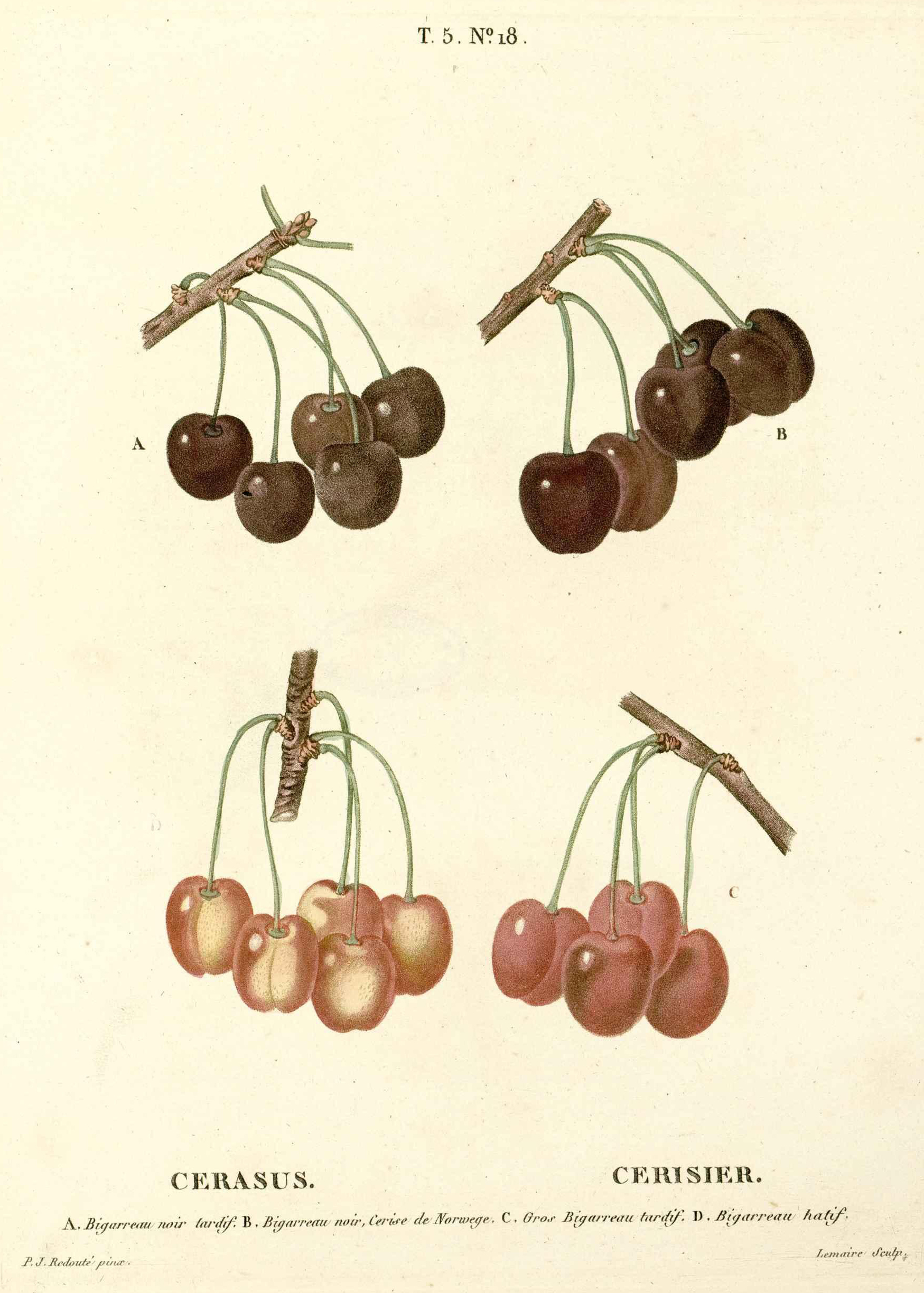 no full size  illustration available (3a)