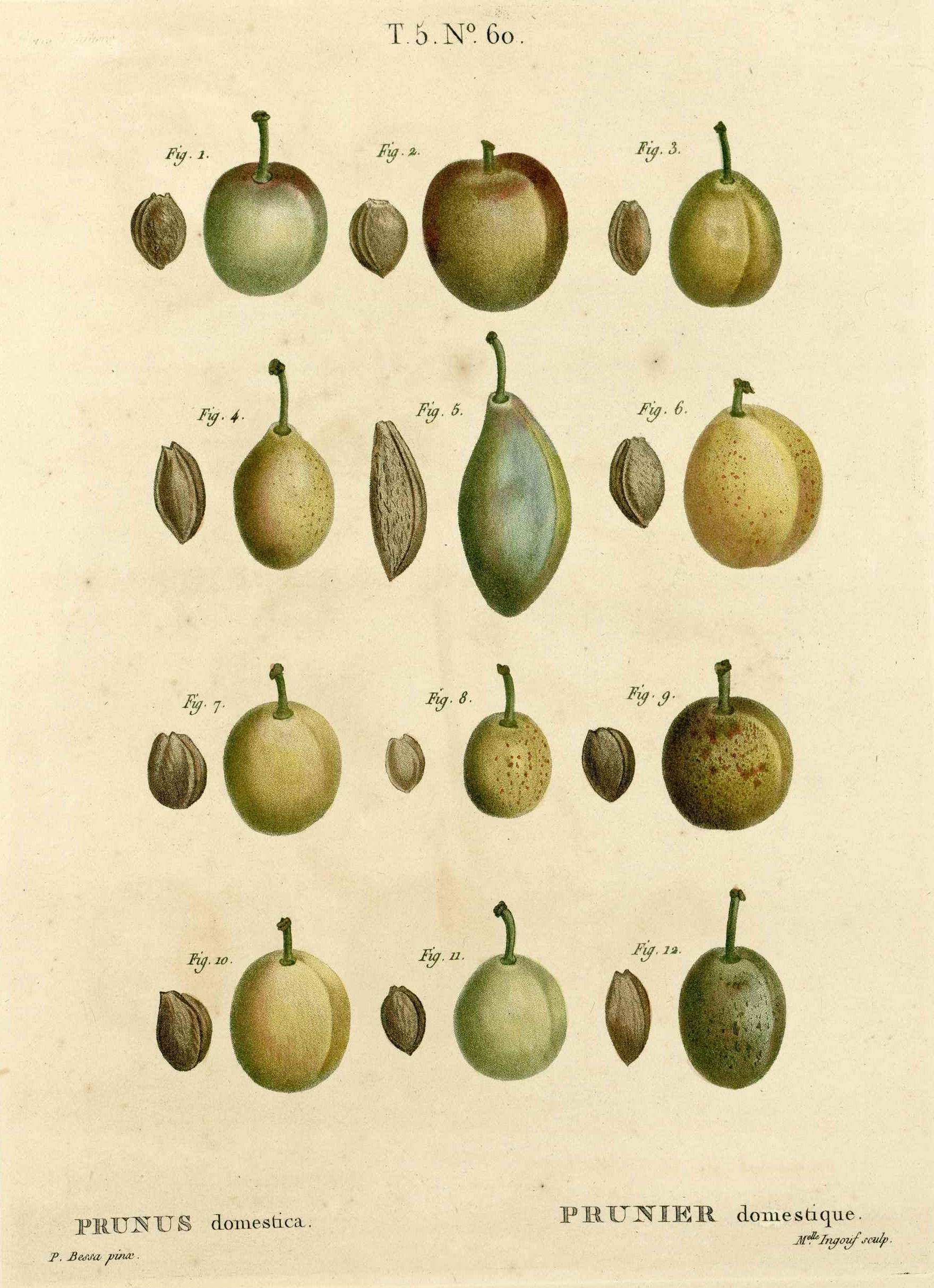 no full size  illustration available (3a)