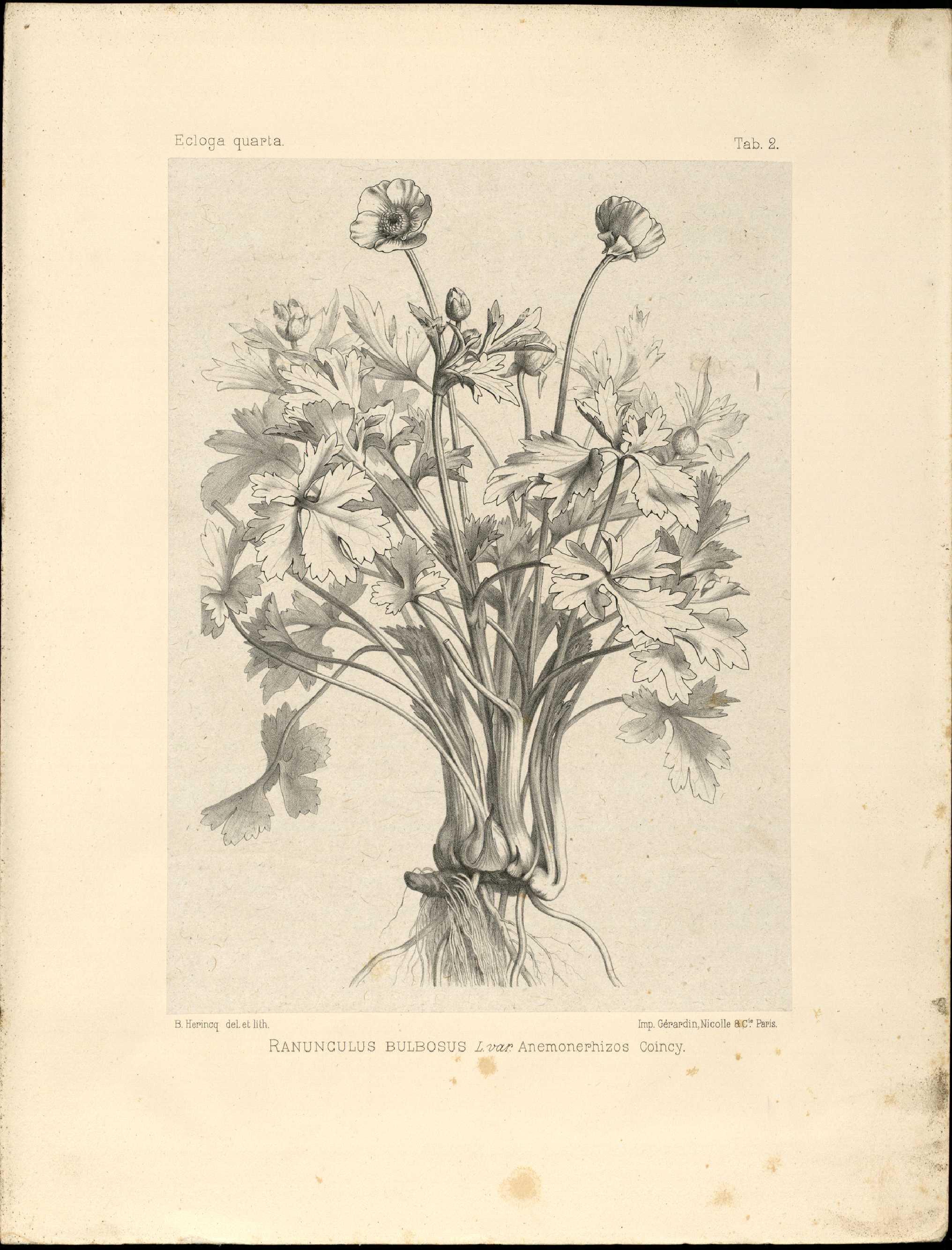 no full size  illustration available (3a)