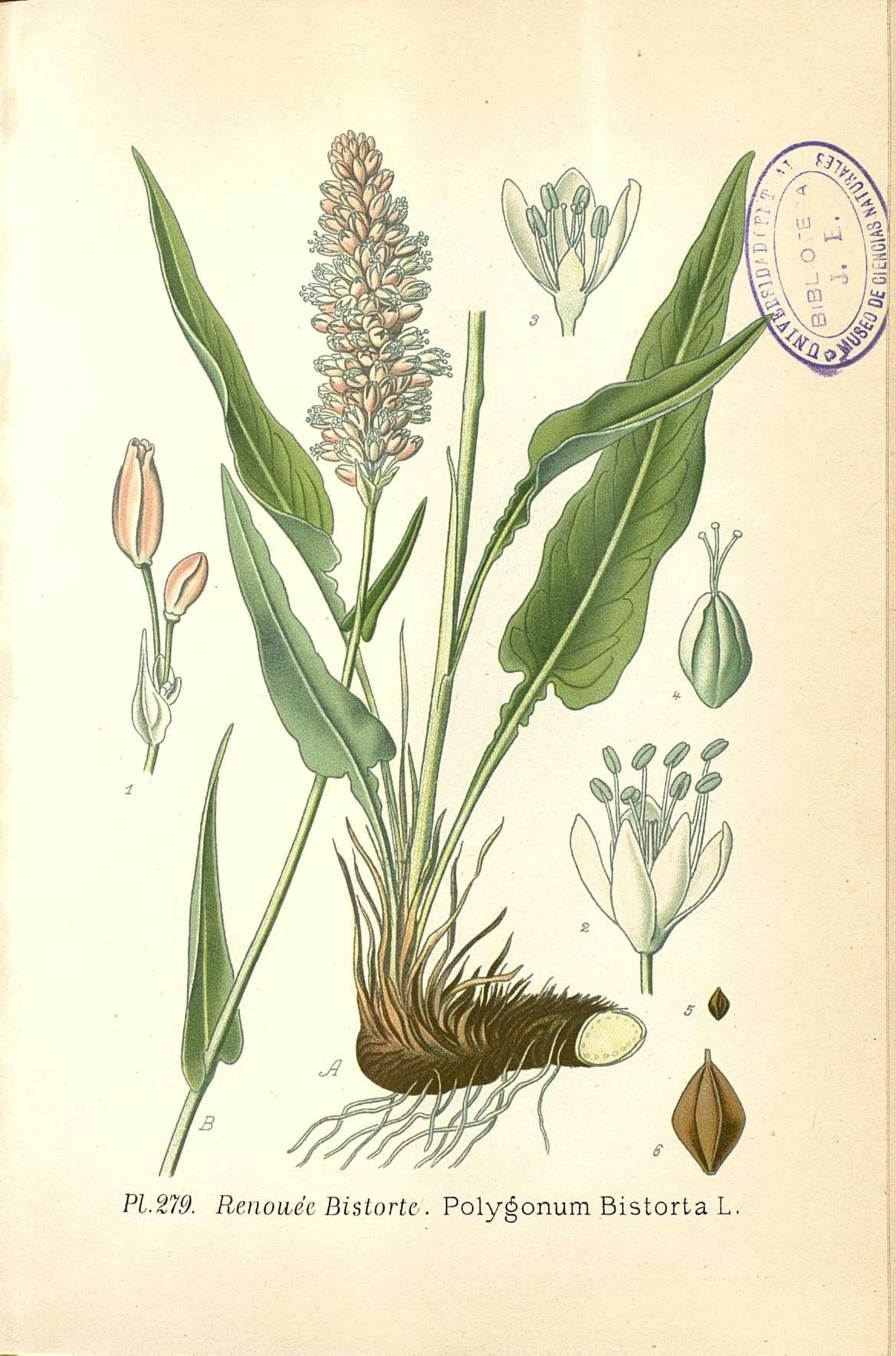 no full size  illustration available (3a)