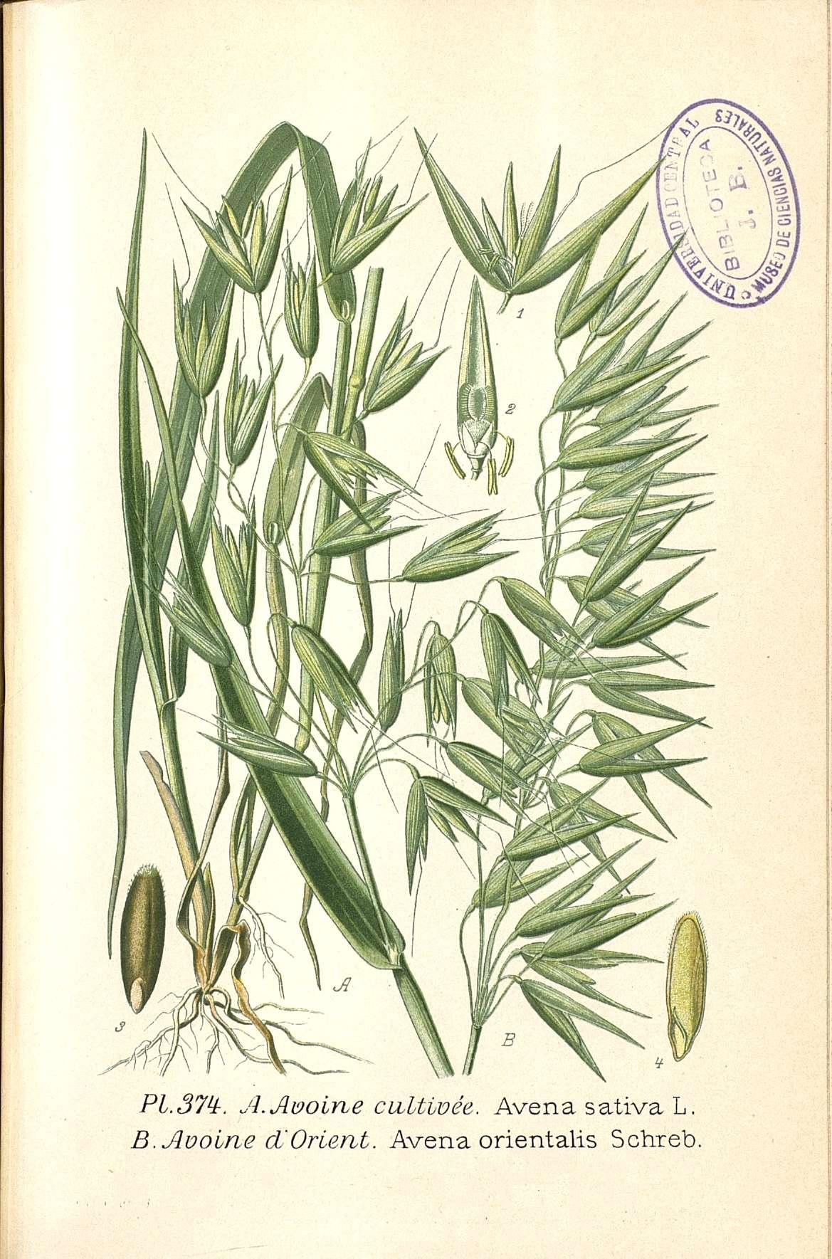 no full size  illustration available (3a)