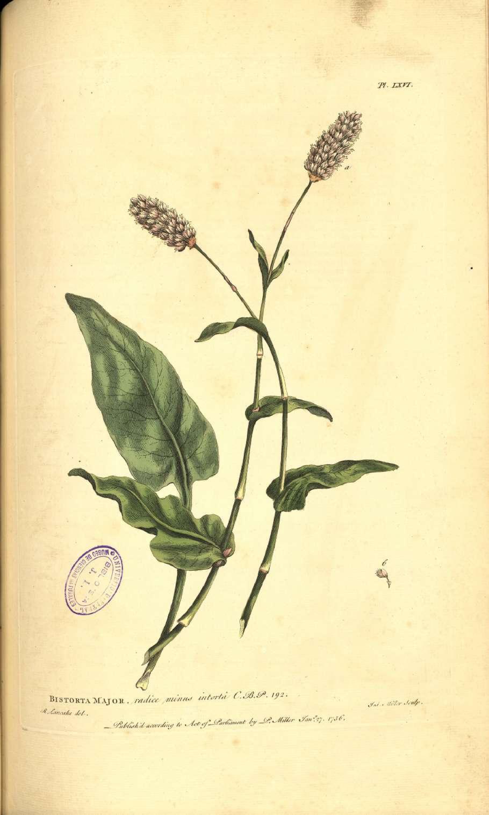 no full size  illustration available (3a)