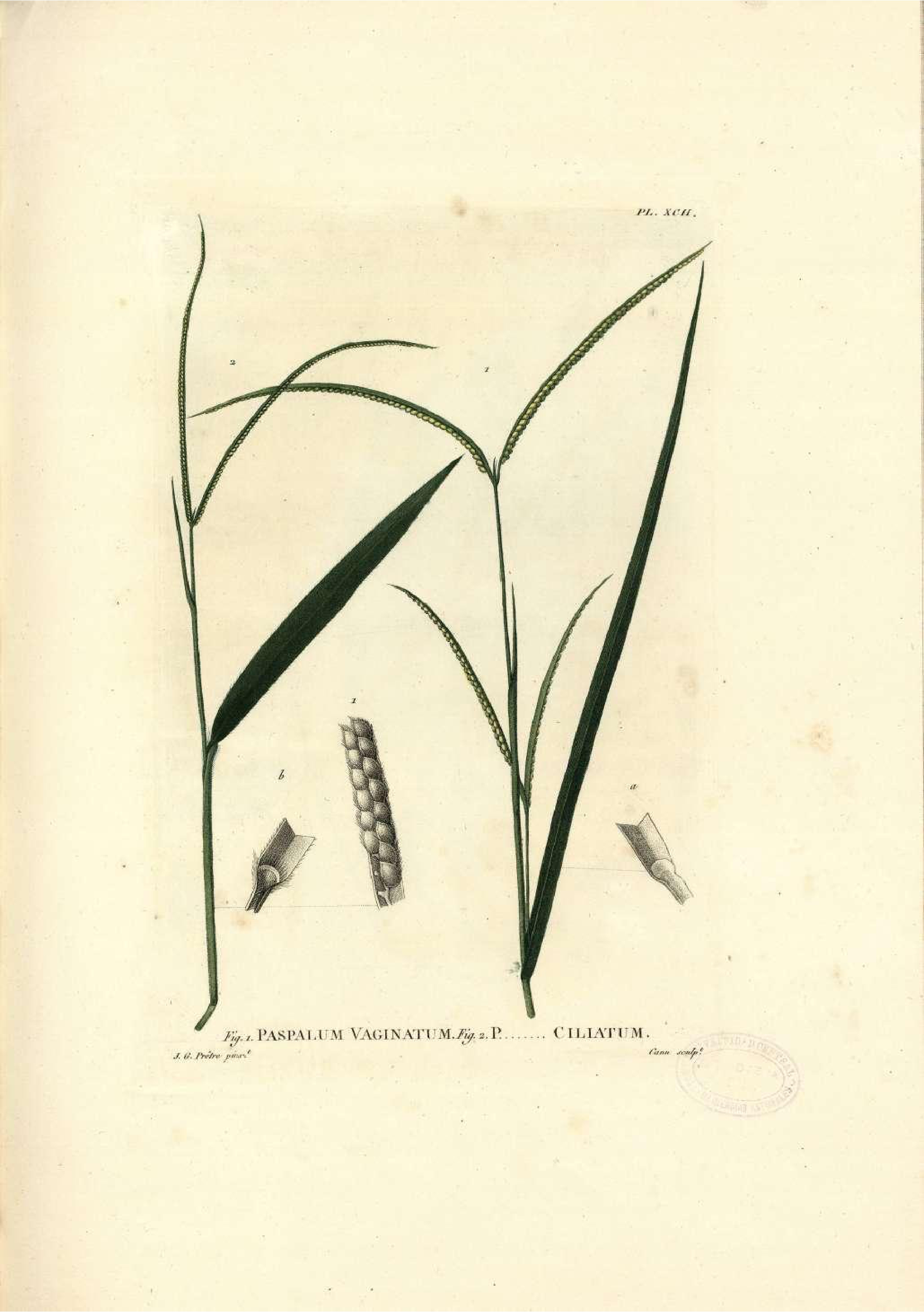 no full size  illustration available (3a)