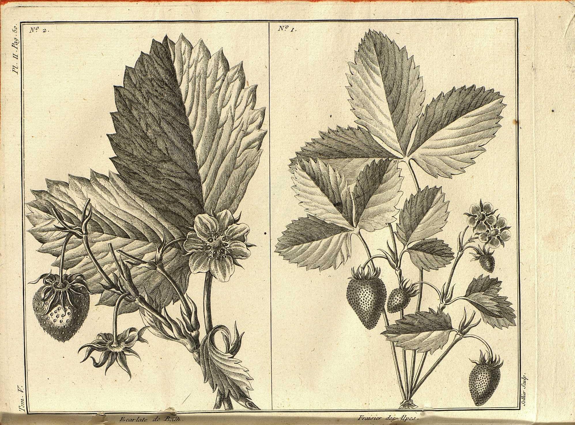 no full size  illustration available (3a)