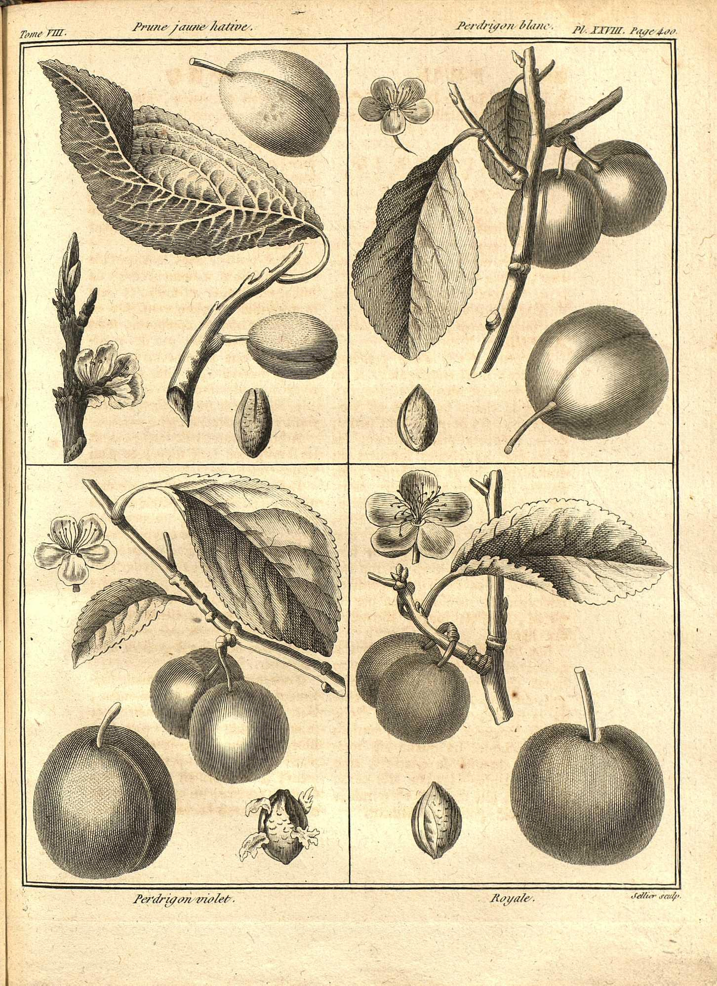 no full size  illustration available (3a)