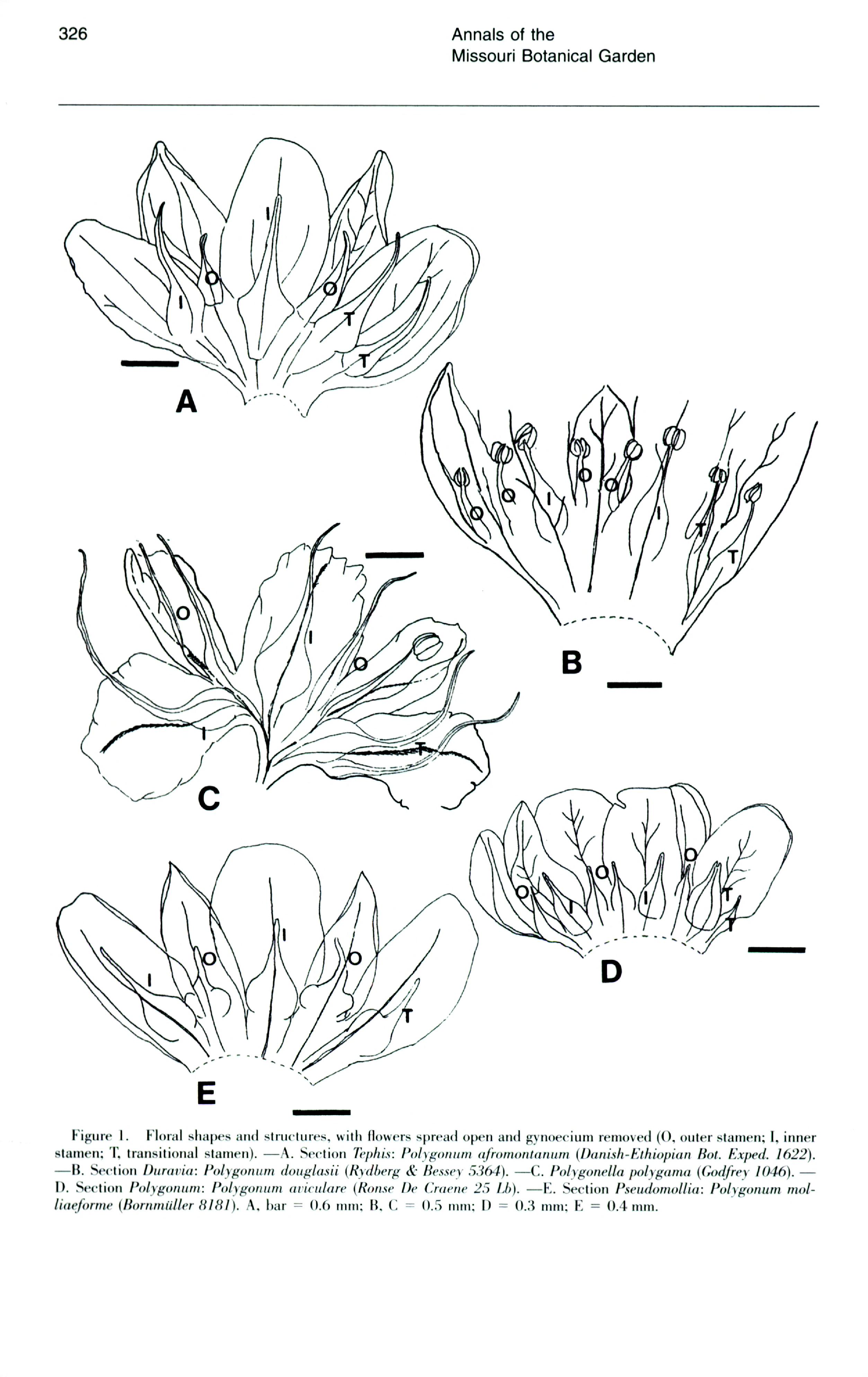 no full size  illustration available (3a)