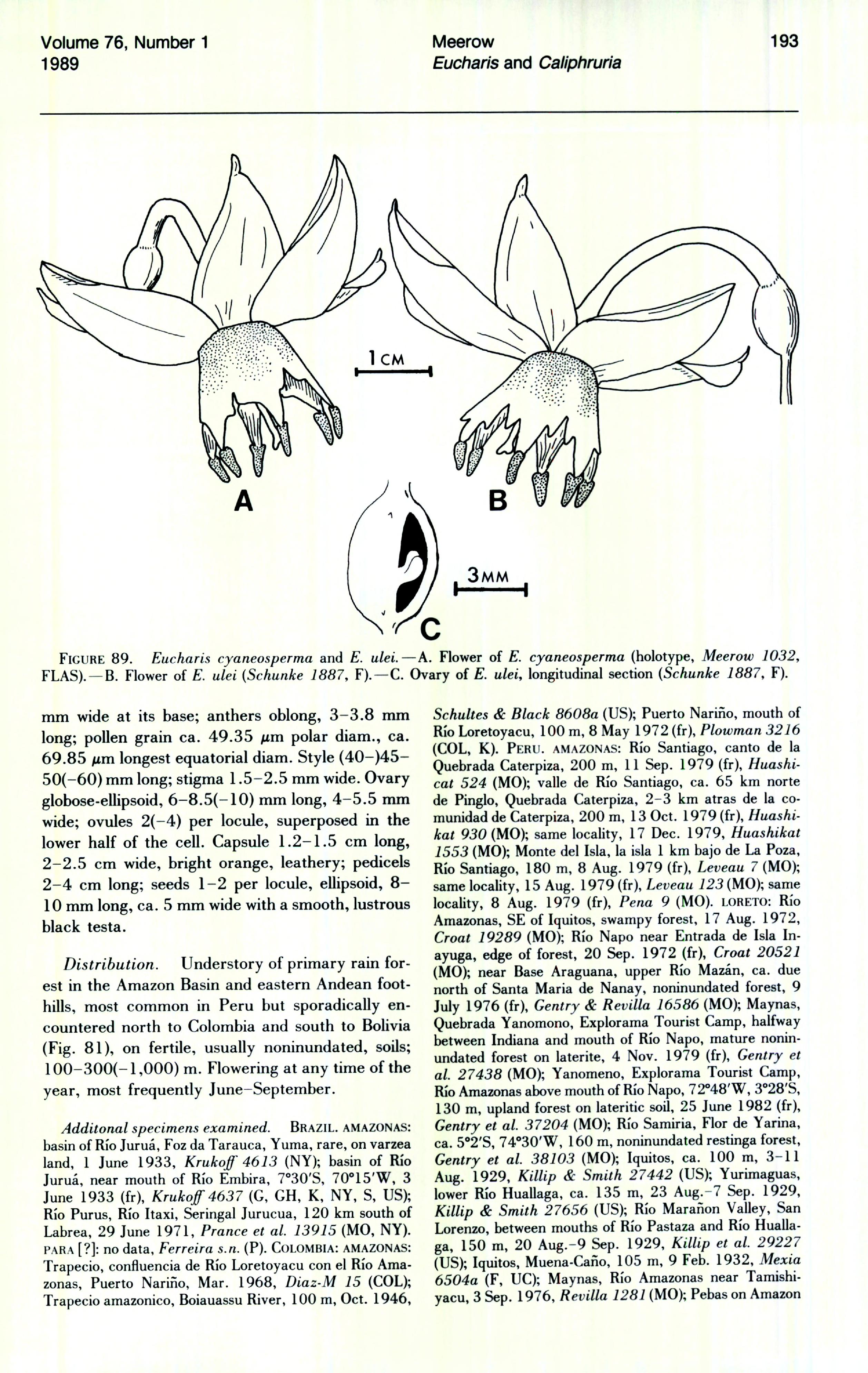 no full size  illustration available (3a)