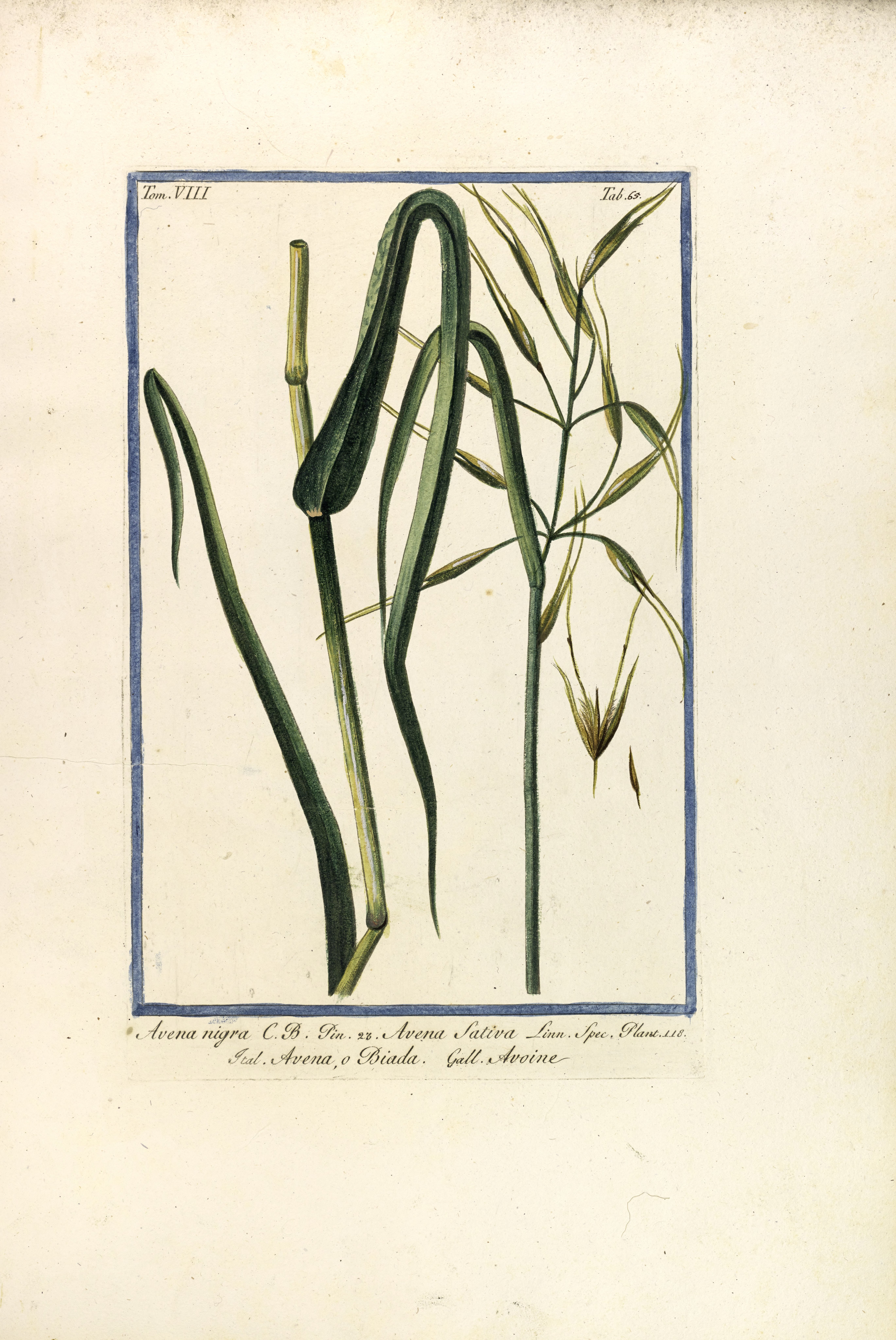 no full size  illustration available (3a)