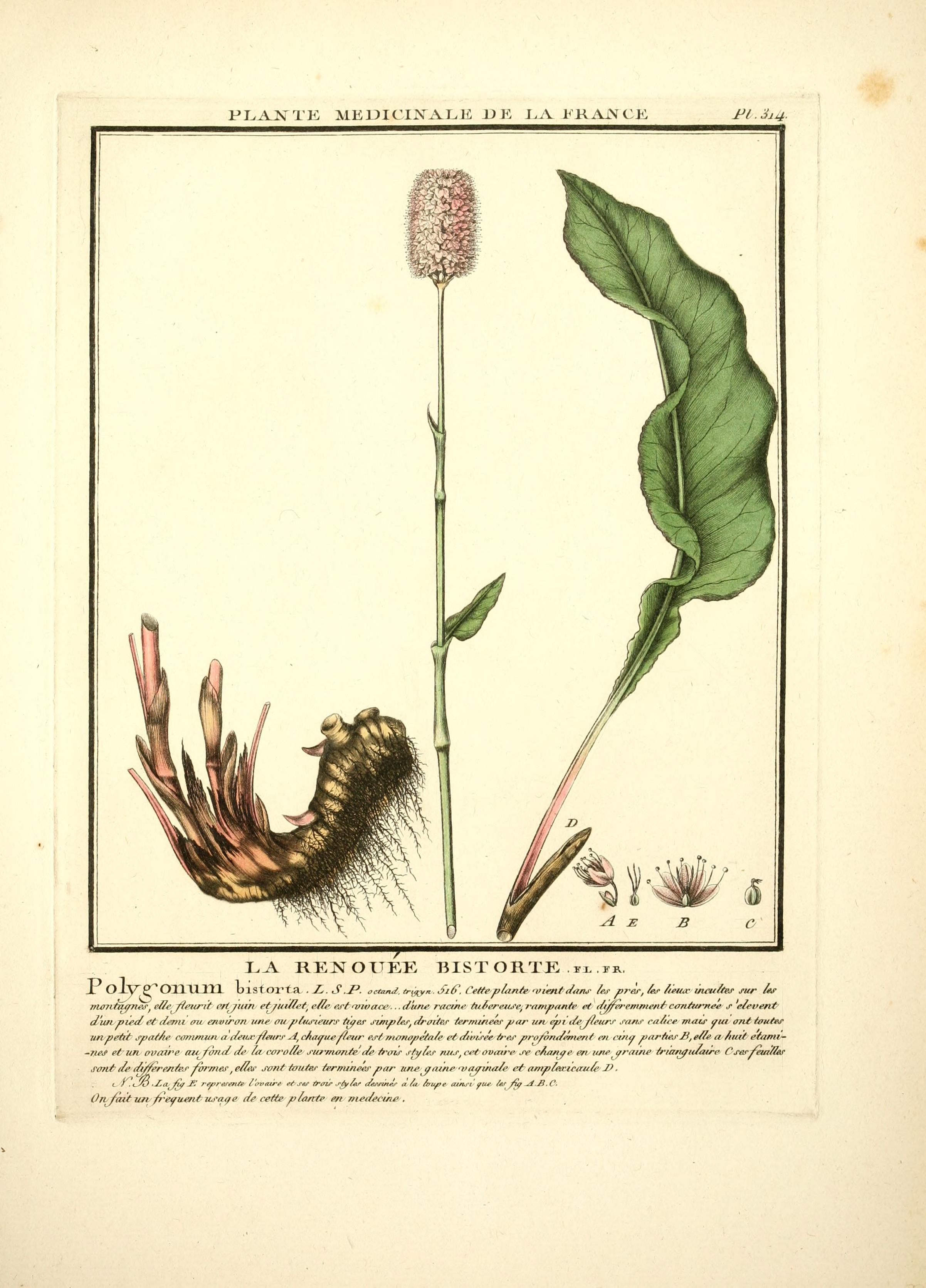 no full size  illustration available (3a)