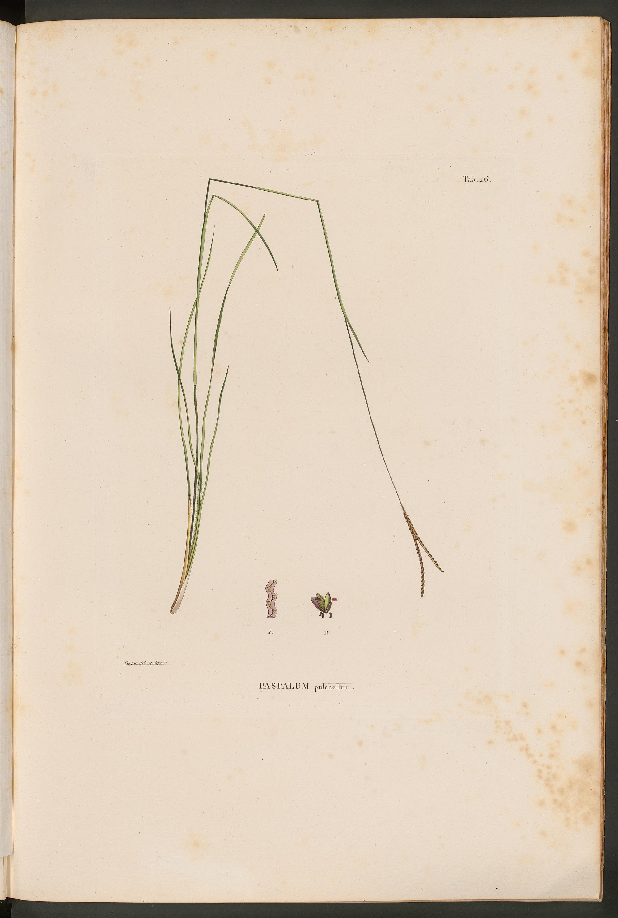 no full size  illustration available (3a)