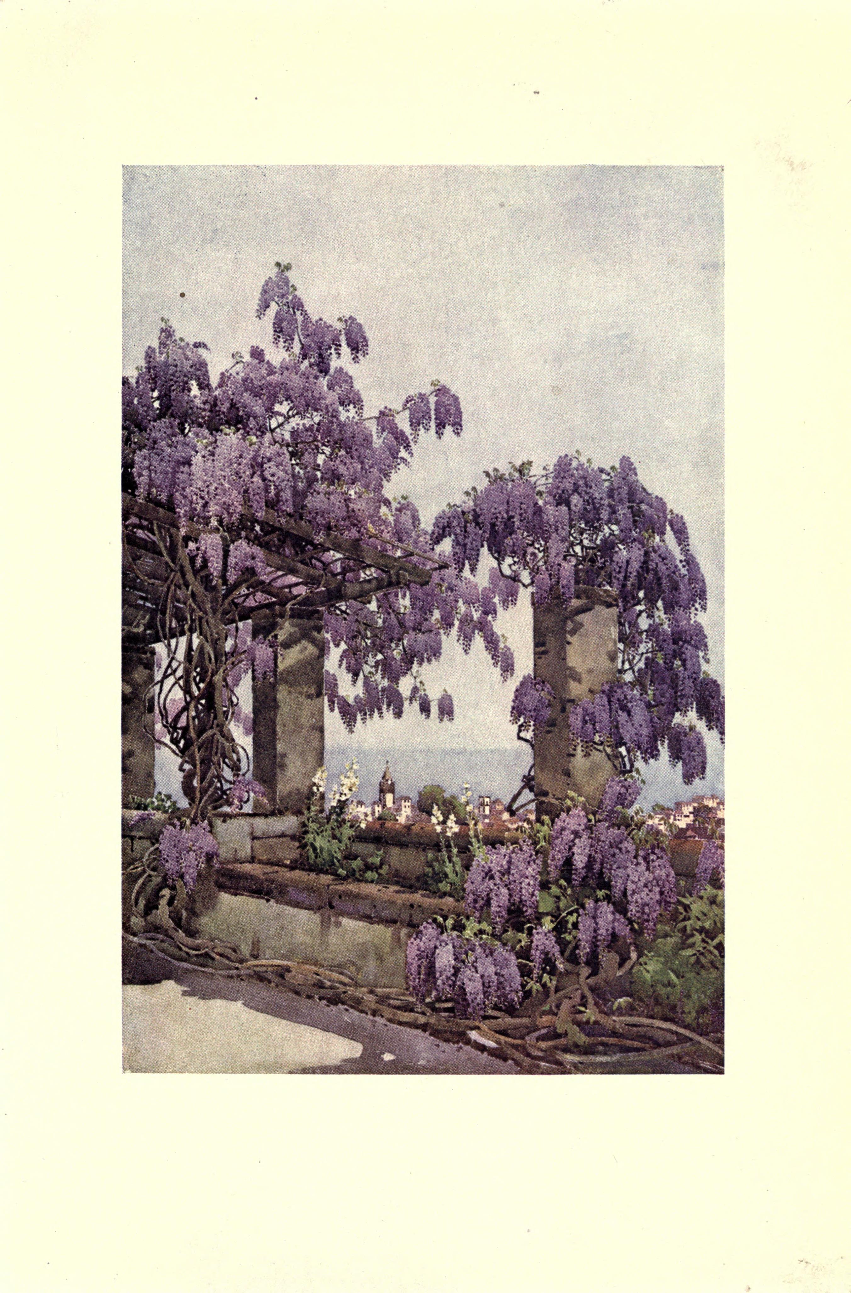 no full size  illustration available (3a)