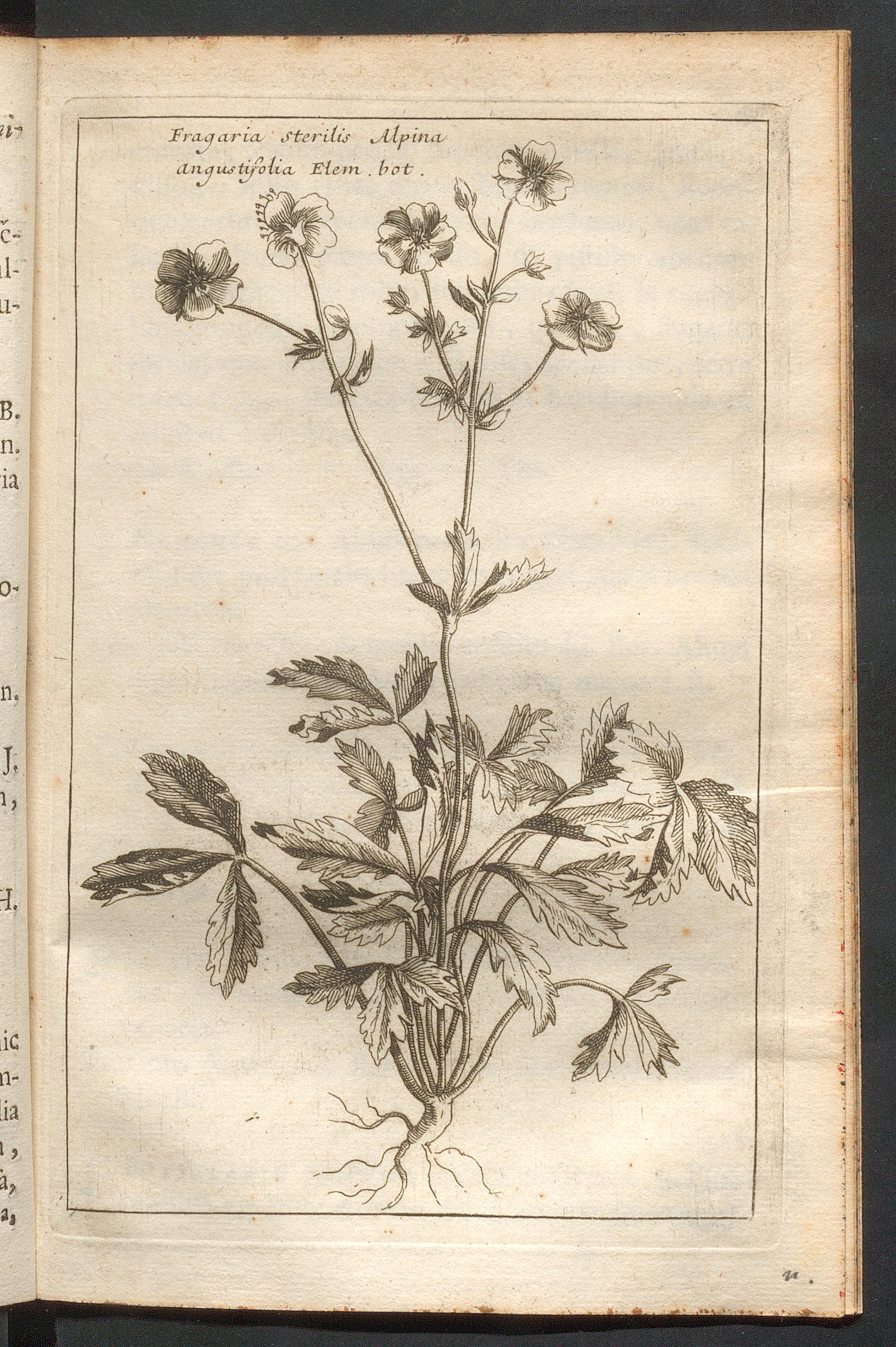 no full size  illustration available (3a)