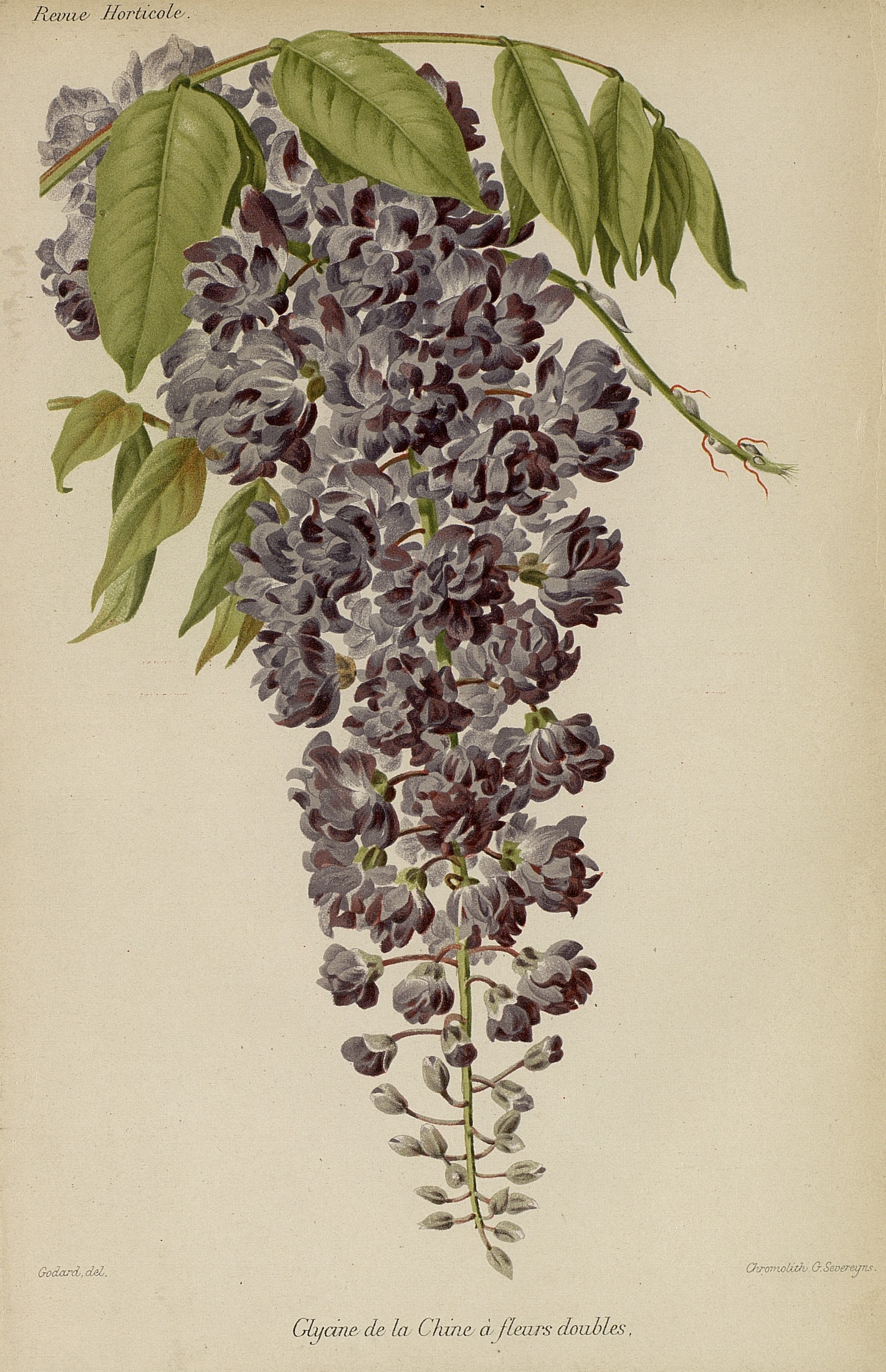 no full size  illustration available (3a)