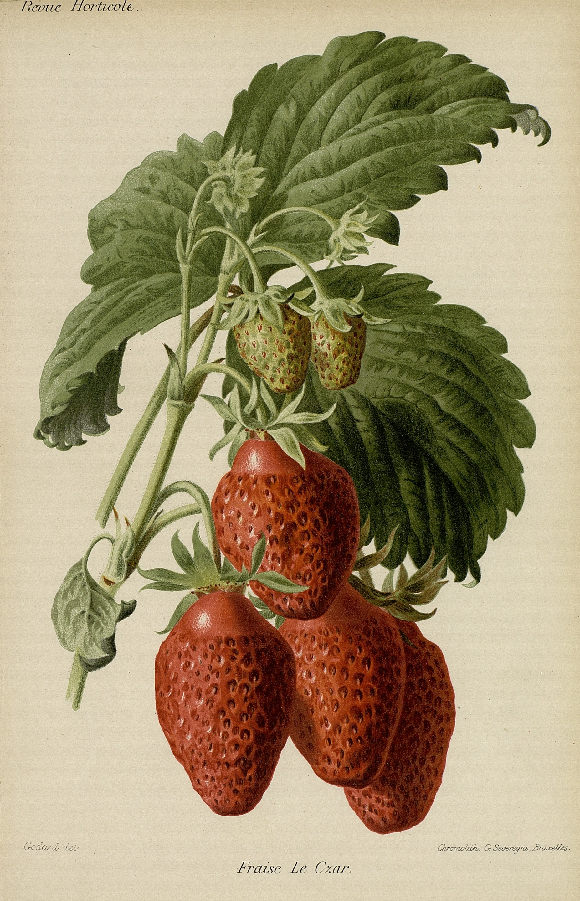 no full size  illustration available (3a)