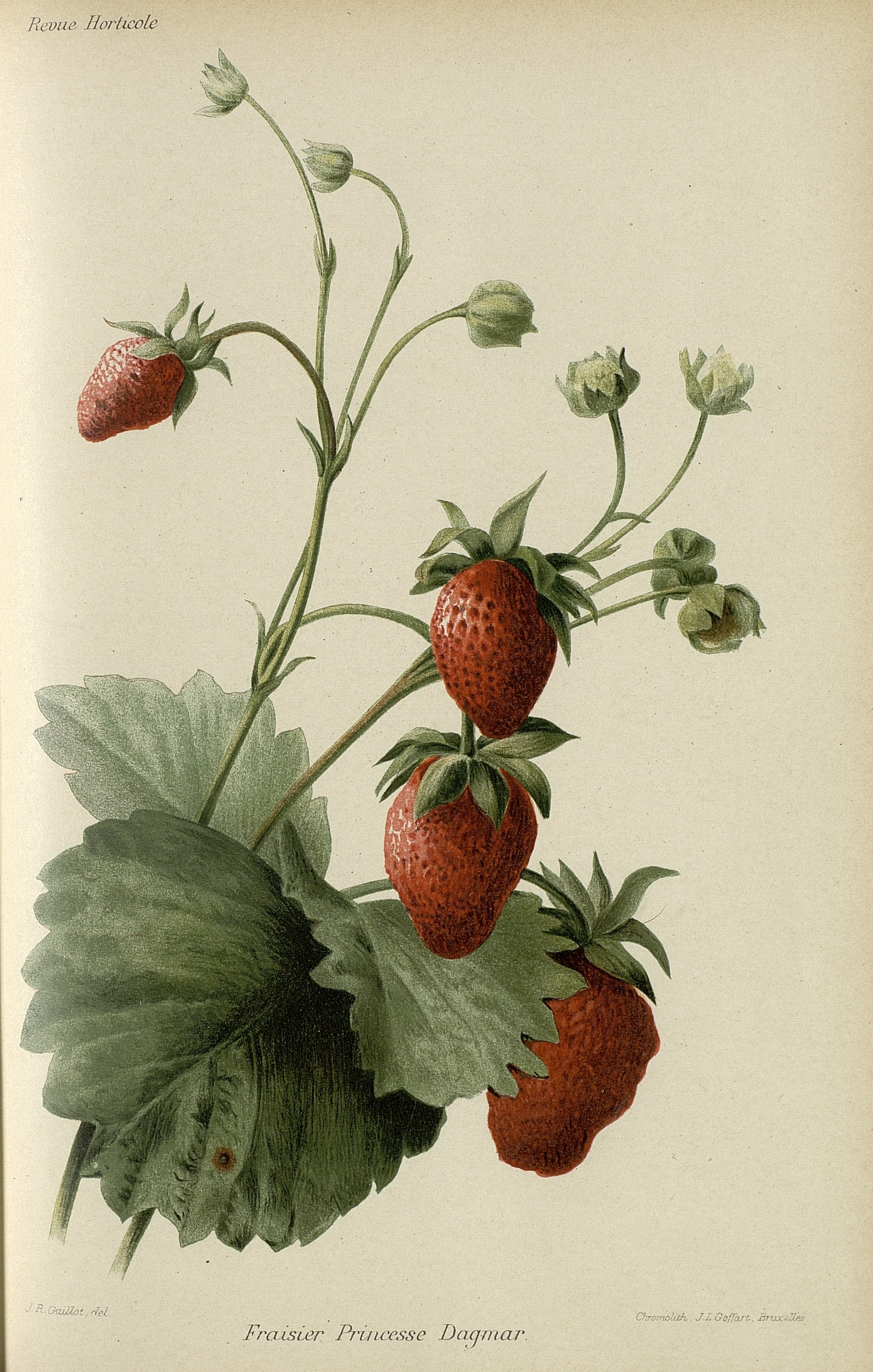 no full size  illustration available (3a)