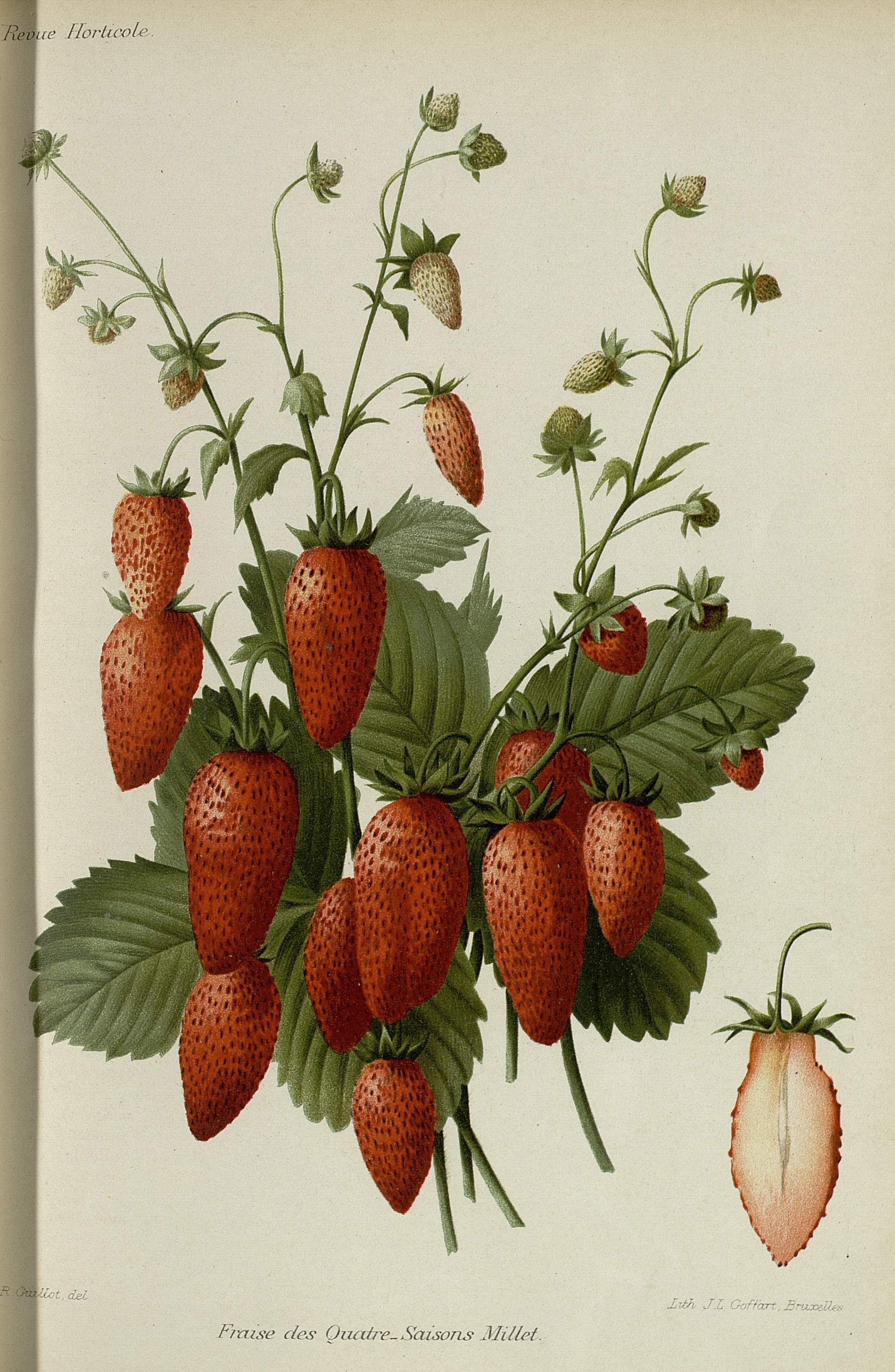 no full size  illustration available (3a)