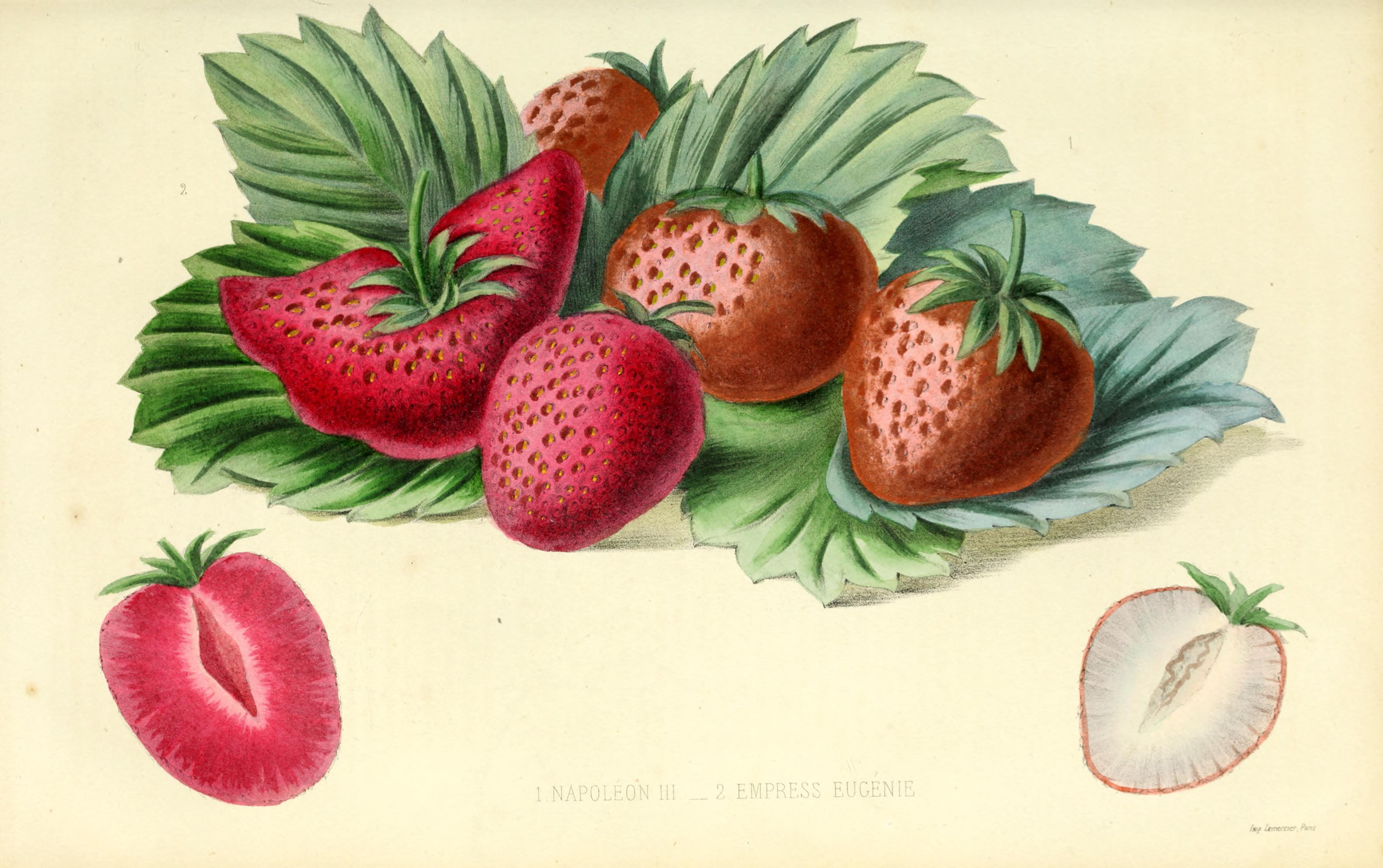 no full size  illustration available (3a)