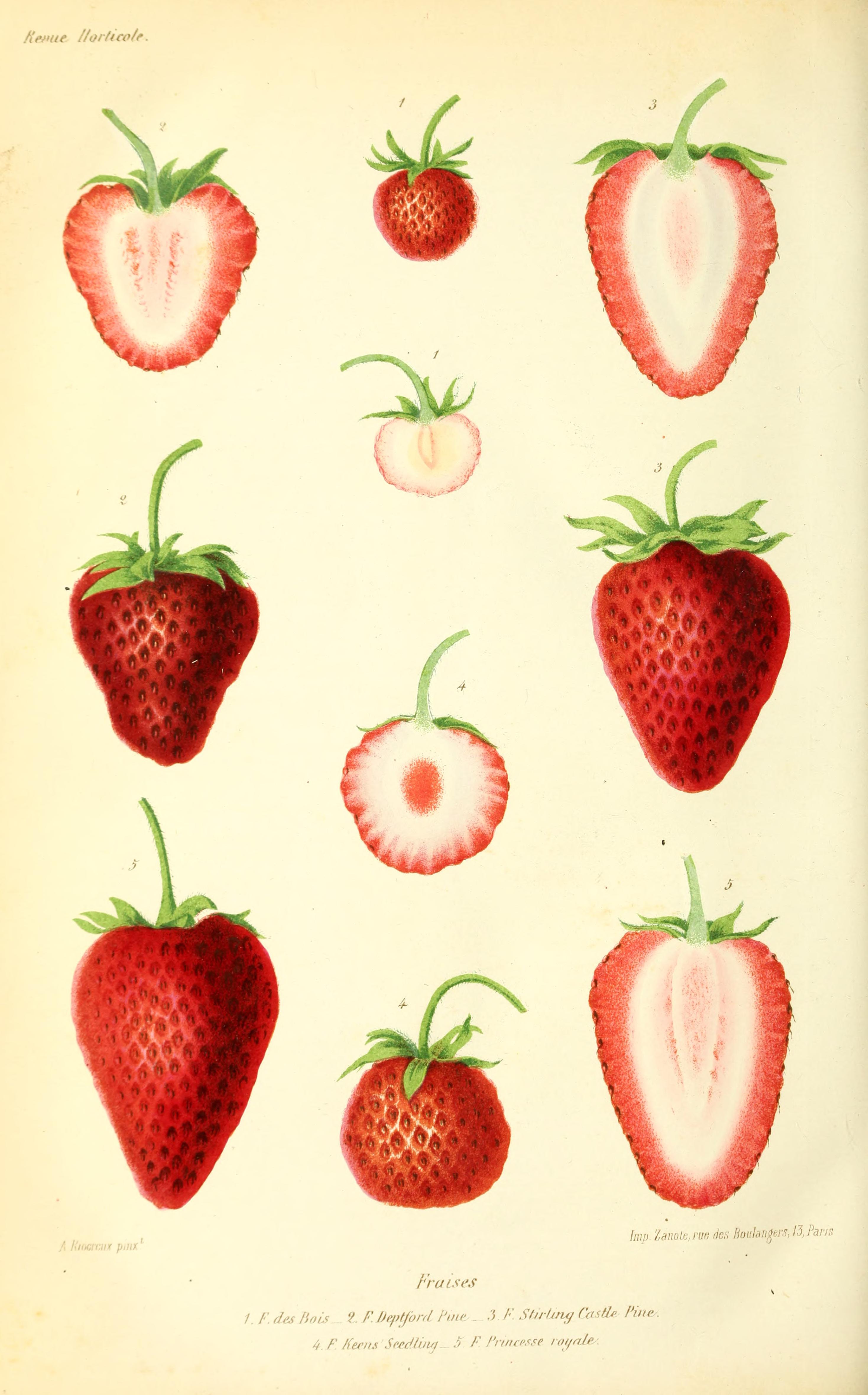 no full size  illustration available (3a)