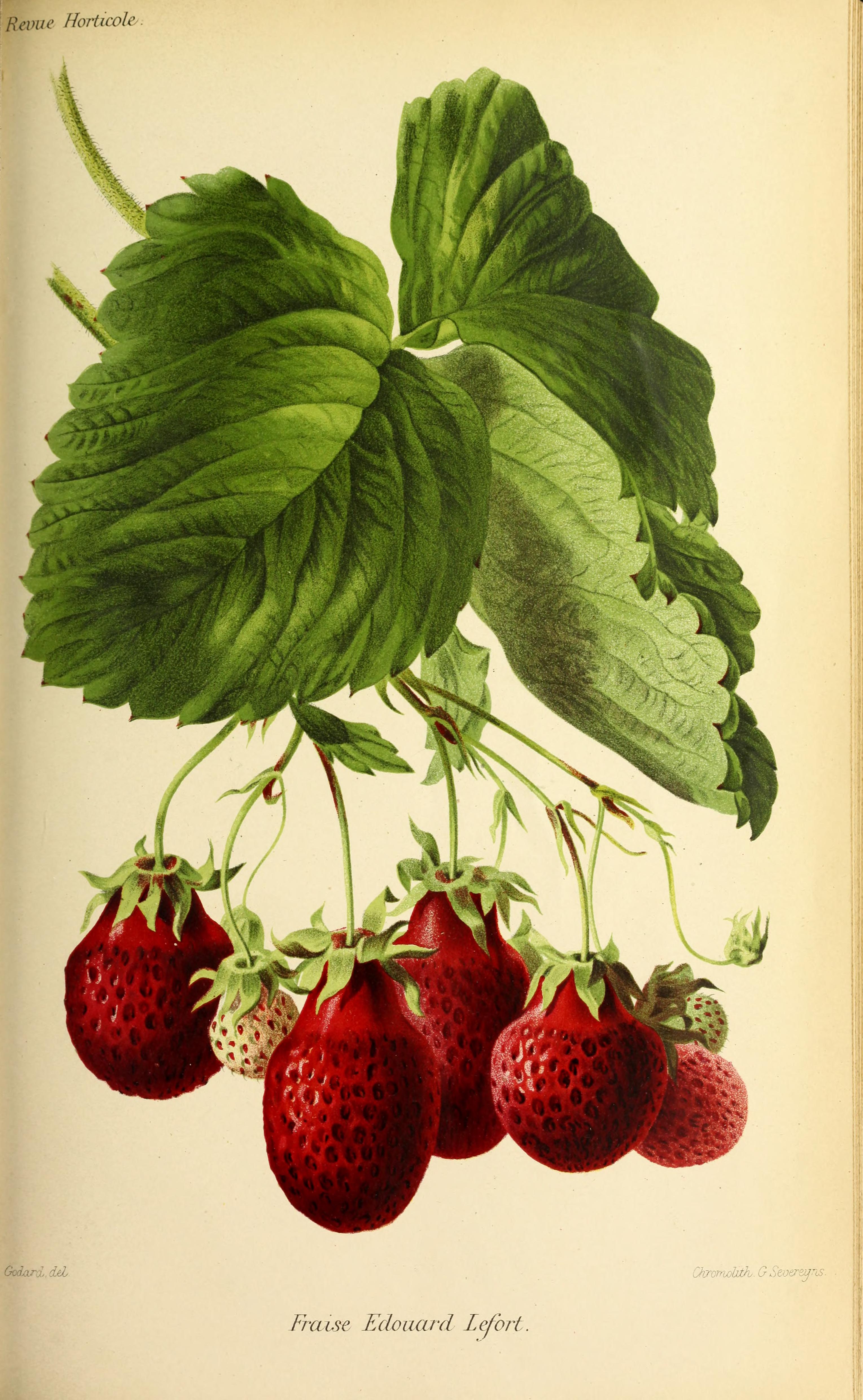 no full size  illustration available (3a)