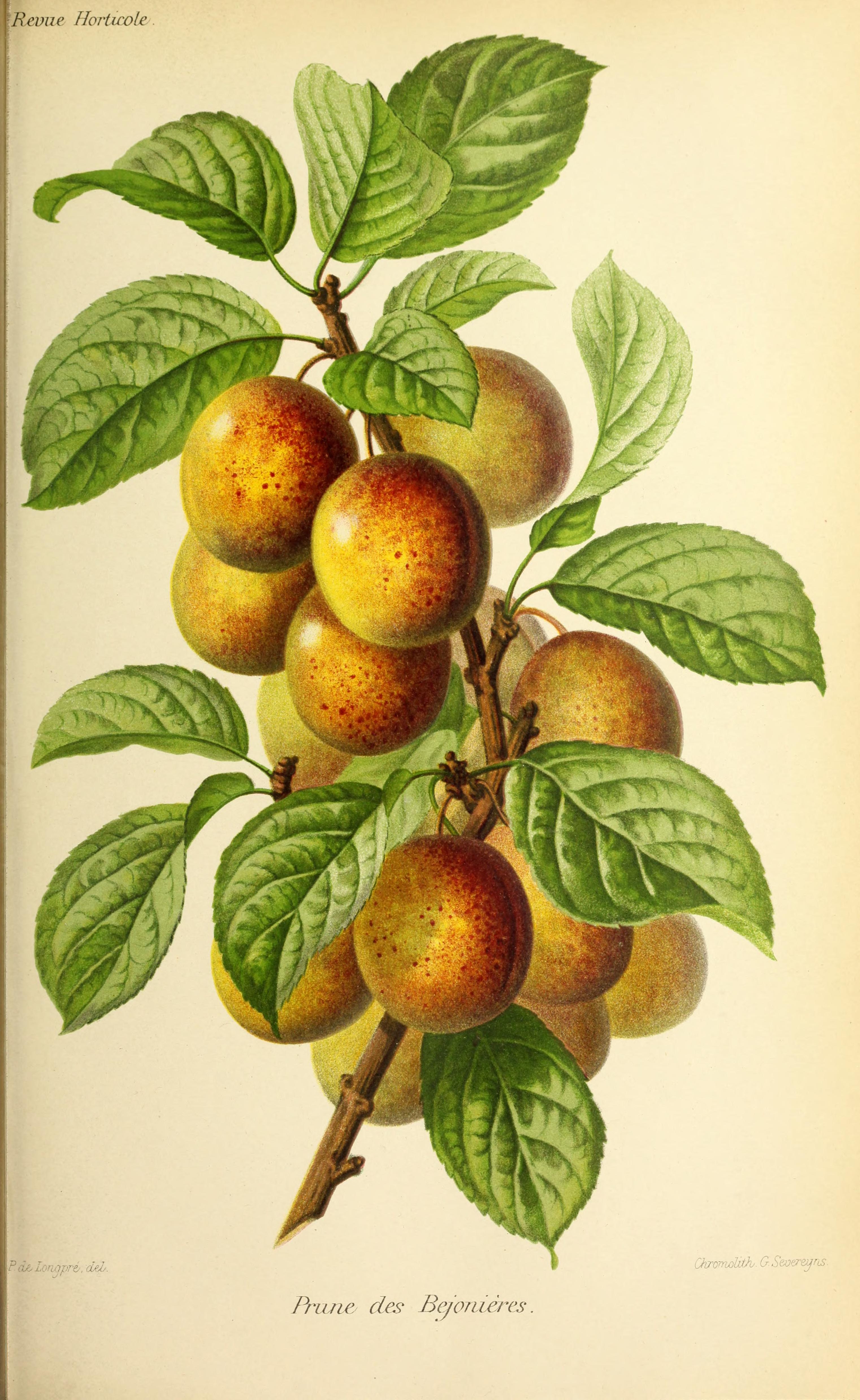 no full size  illustration available (3a)